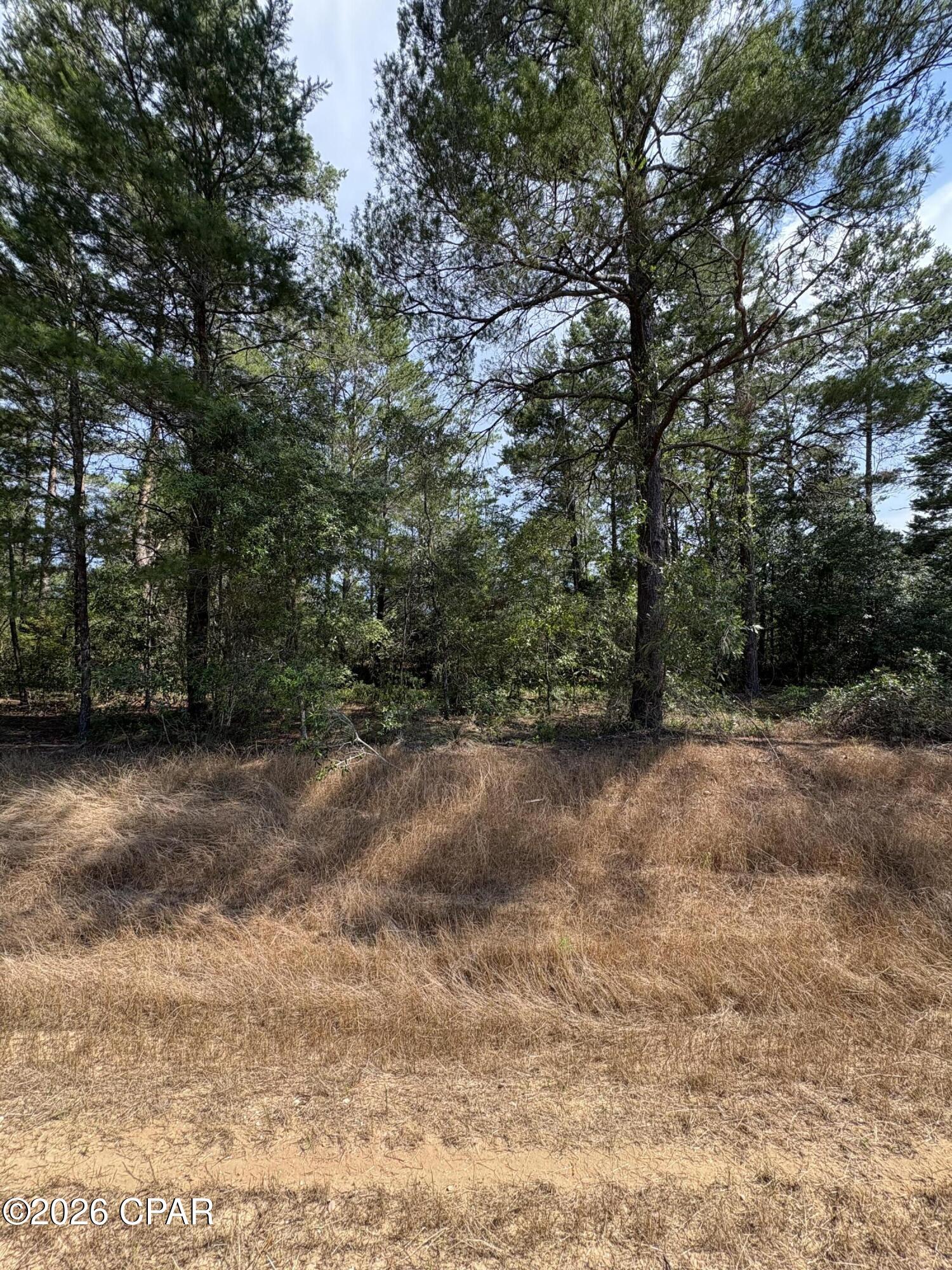 Sunny Hills - Land