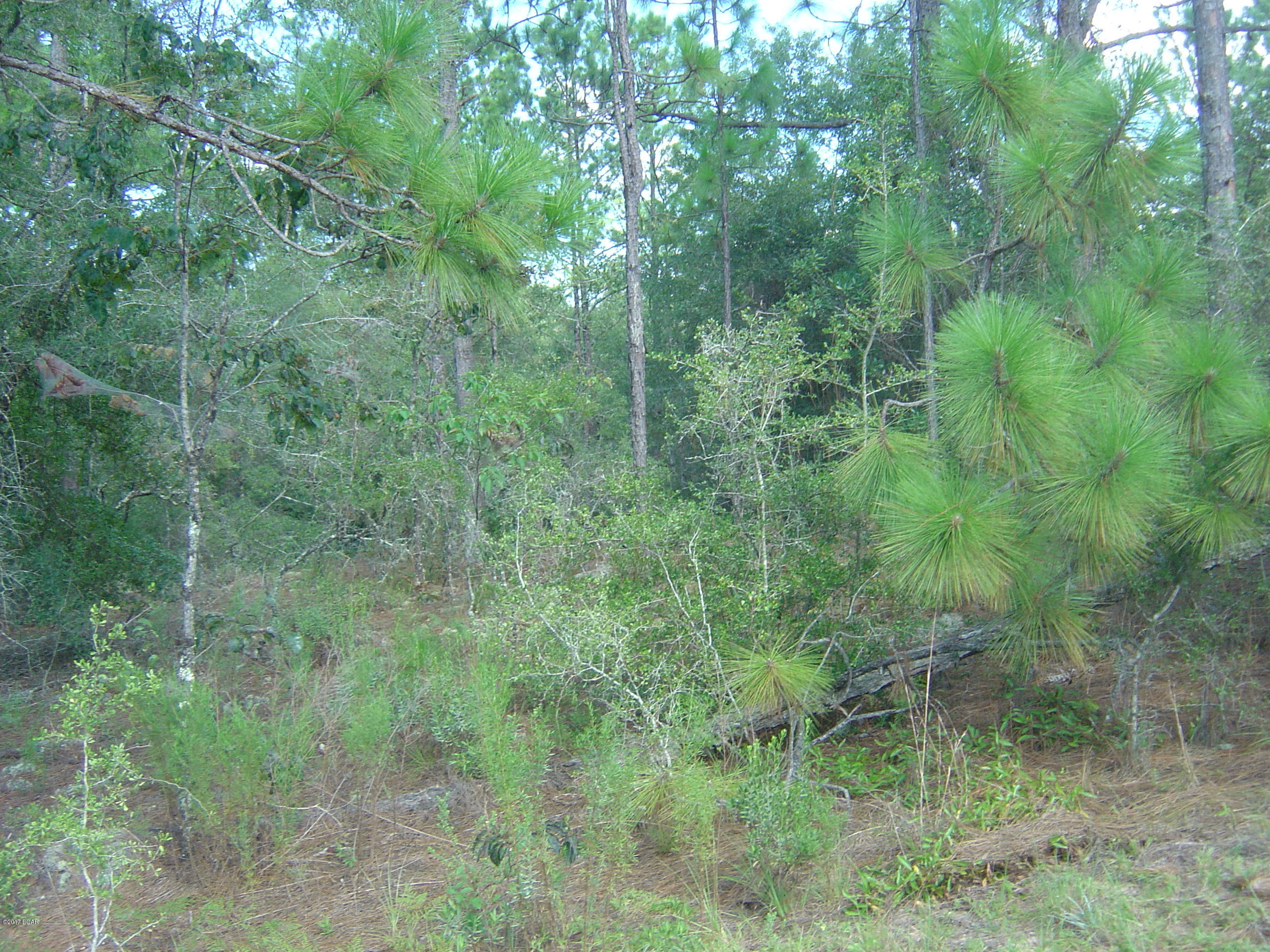 Compass Lake Hills Unit 6 - Land