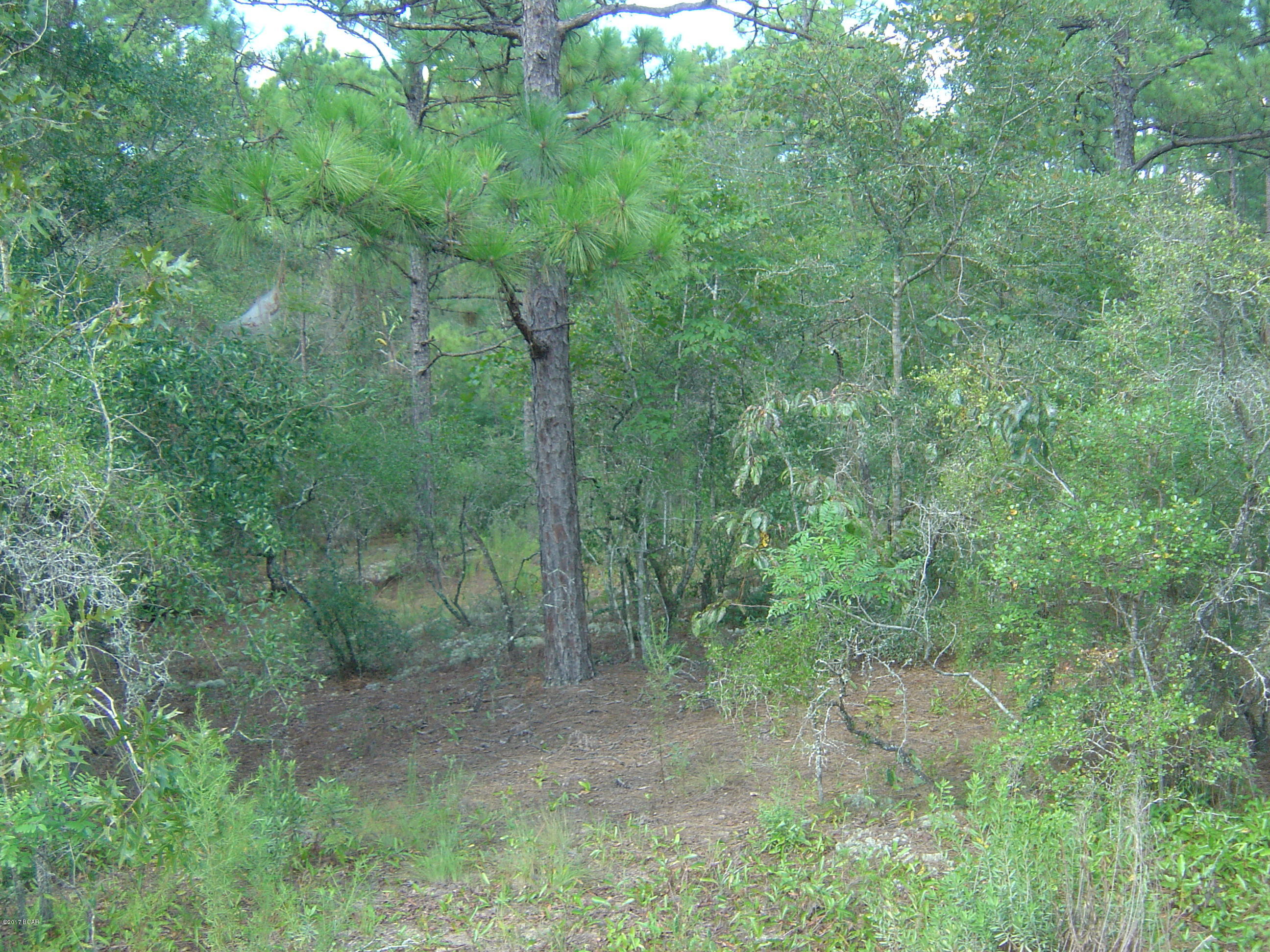 Compass Lake Hills Unit 6 - Land