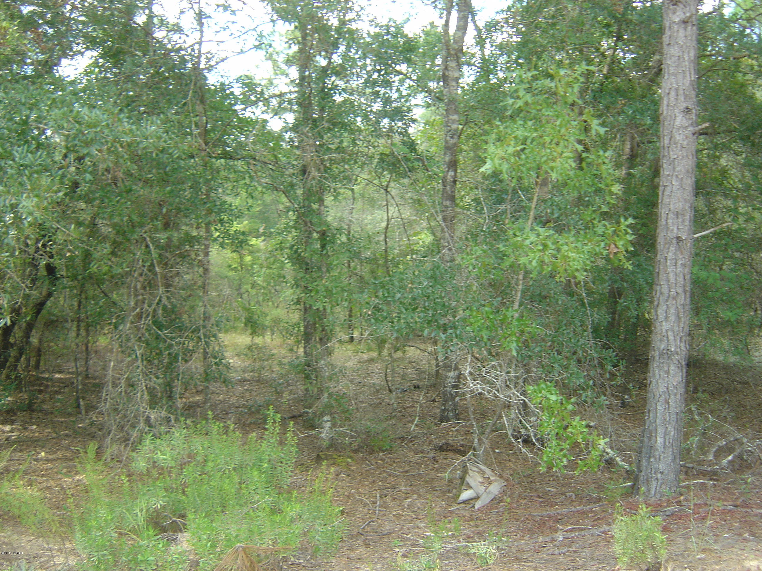 Compass Lake Hills Unit 6 - Land