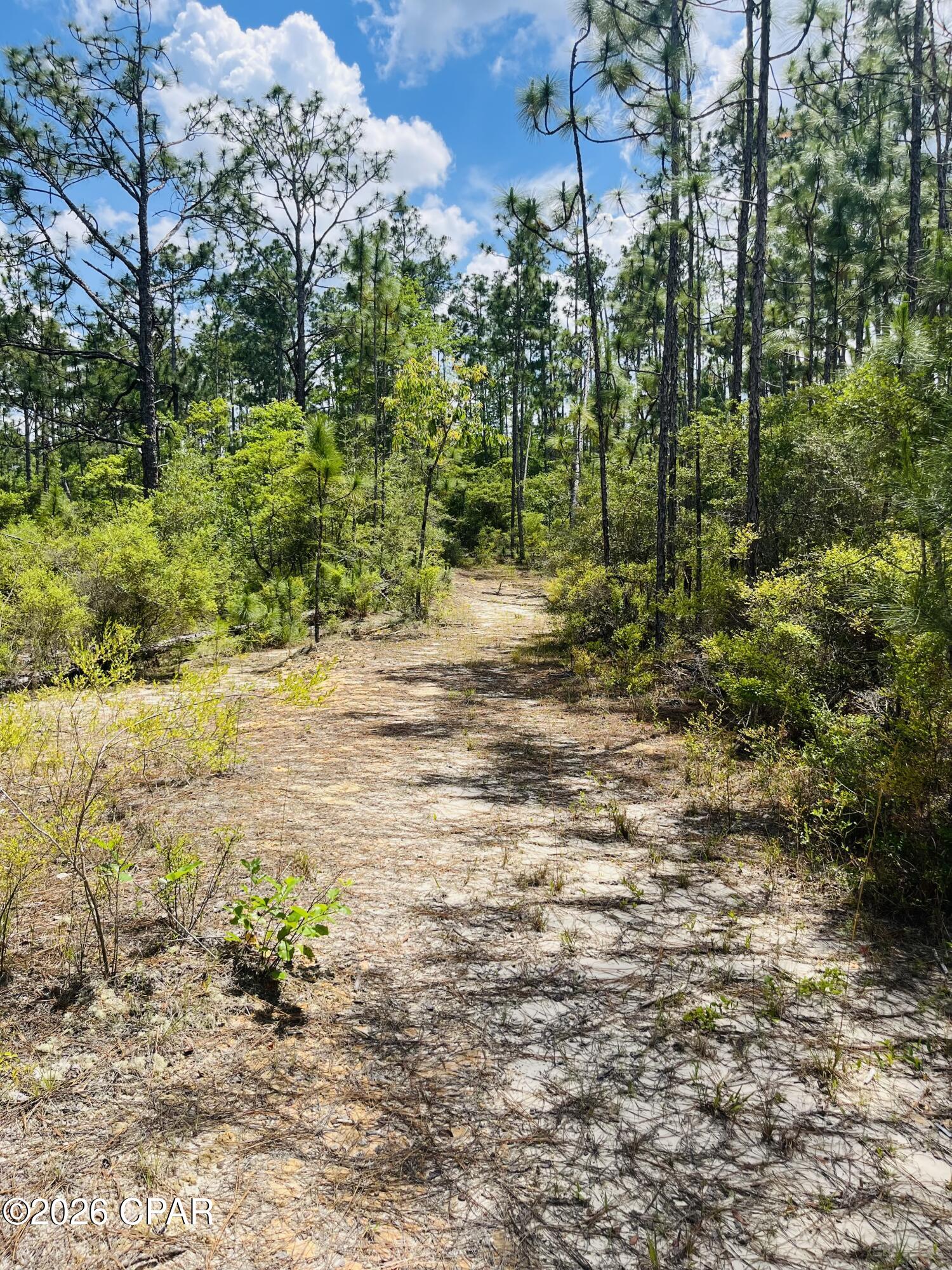 This 1+/- acre parcel sits just minutes from beautiful McCormick Lake. With a small hilltop portion already cleared, the property awaits your new build.