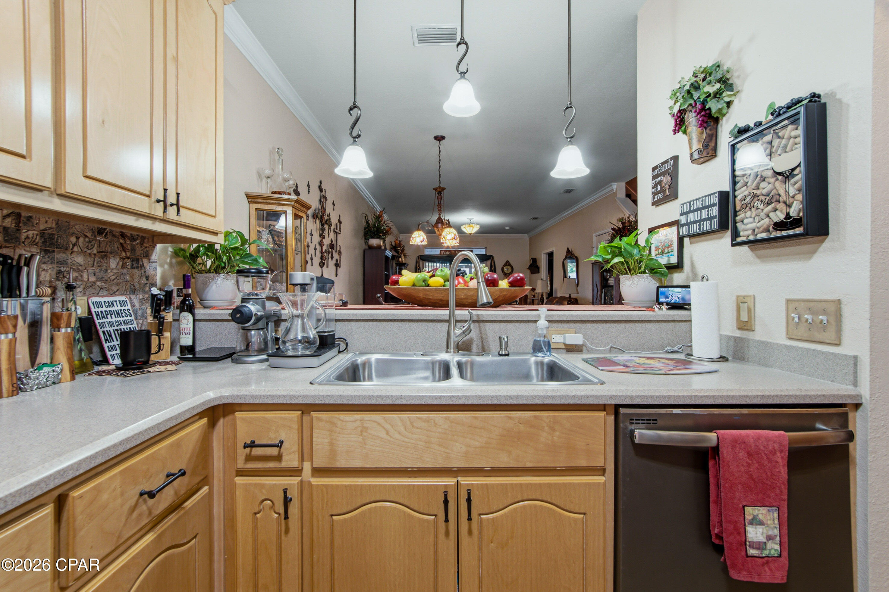 Palmetto Ridge - Residential