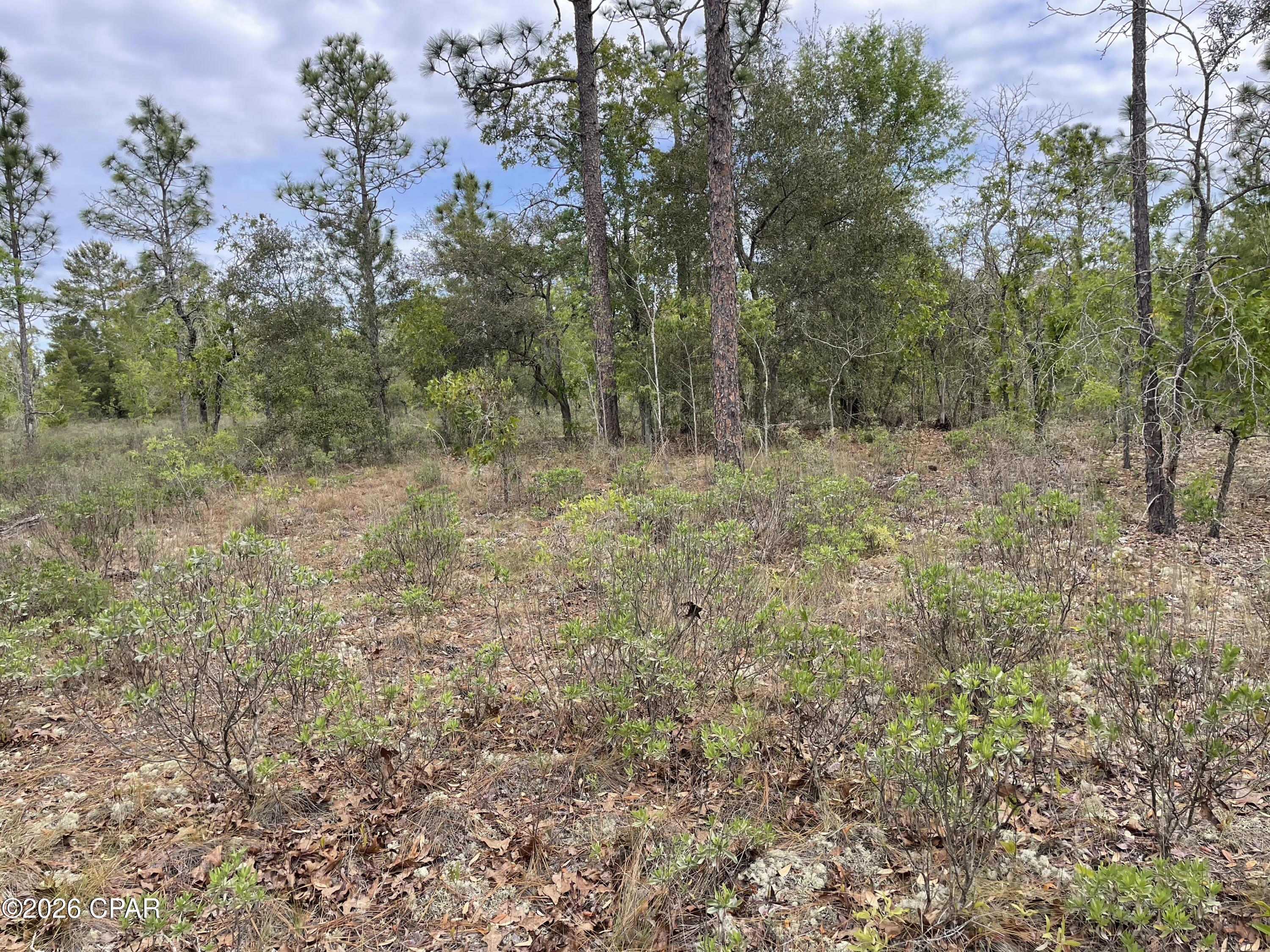 Sunny Hills Unit 1 - Land