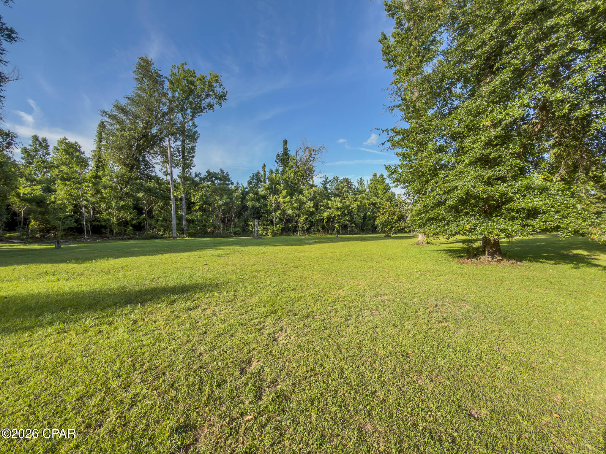Seminole Heights - Residential