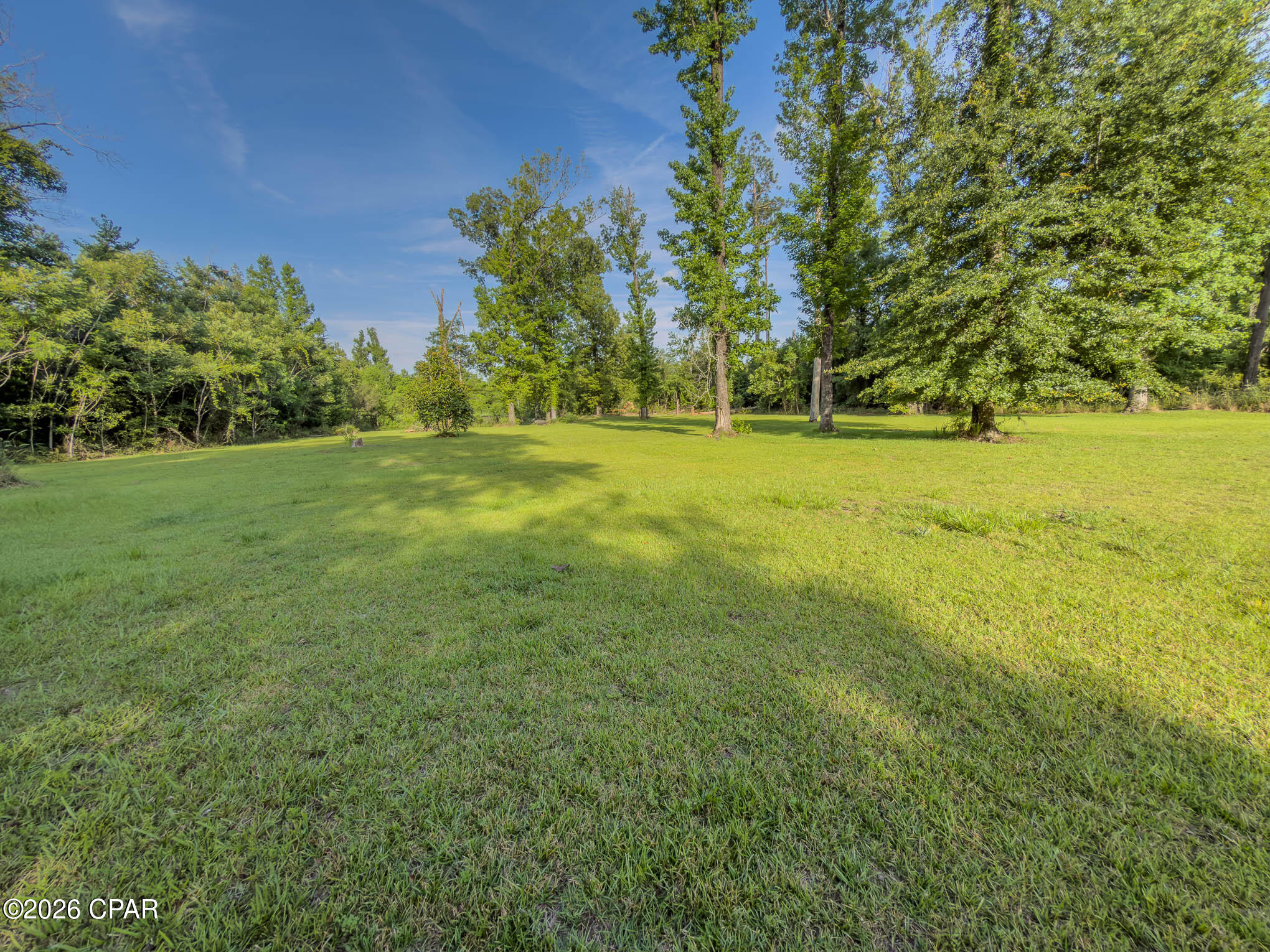 Seminole Heights - Residential