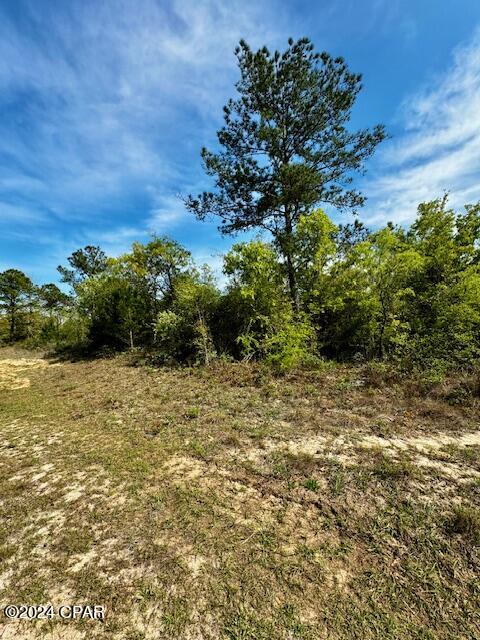 Sunny Hills Unit 9 - Land