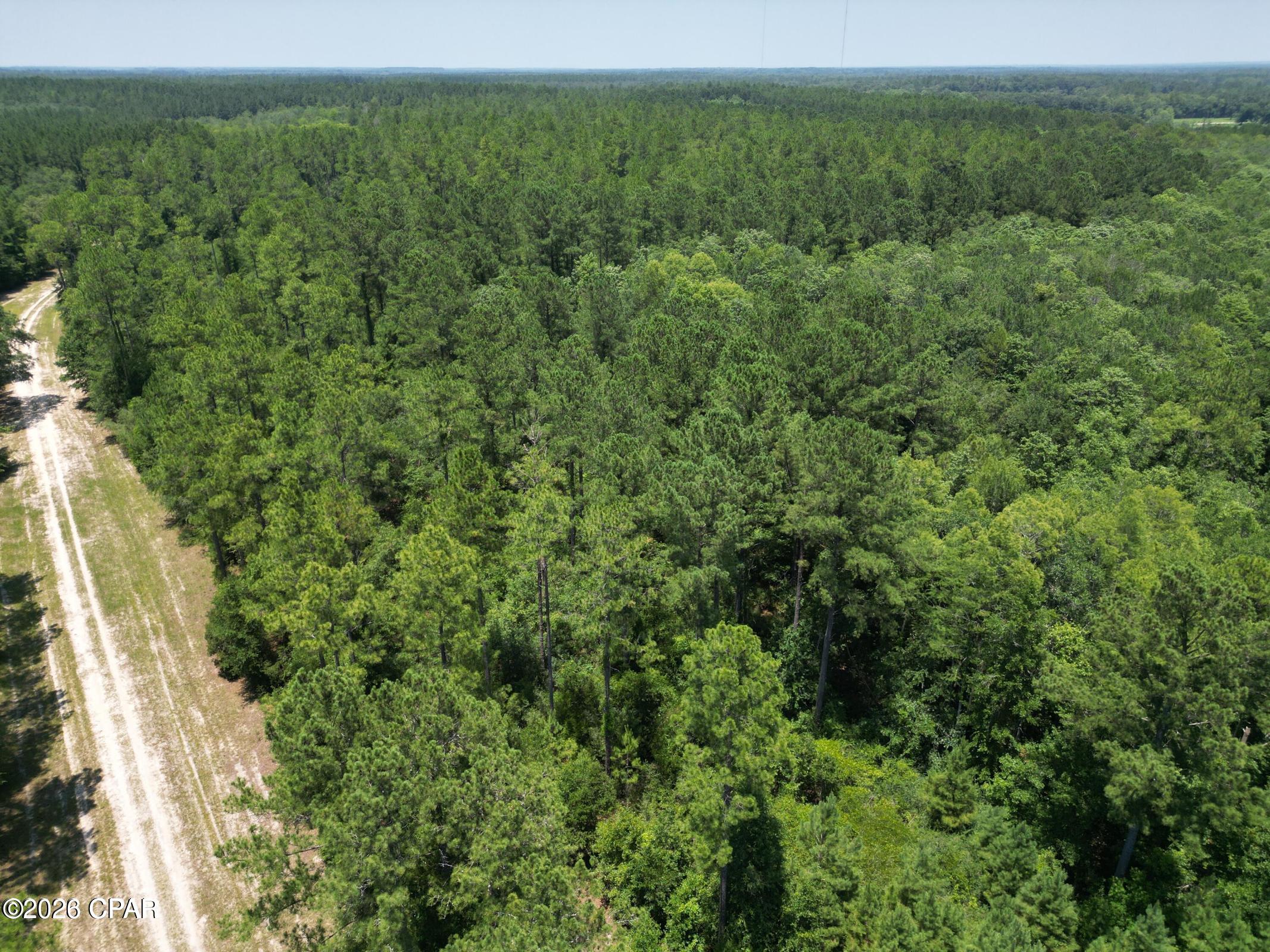 Canopy Crossing - Land