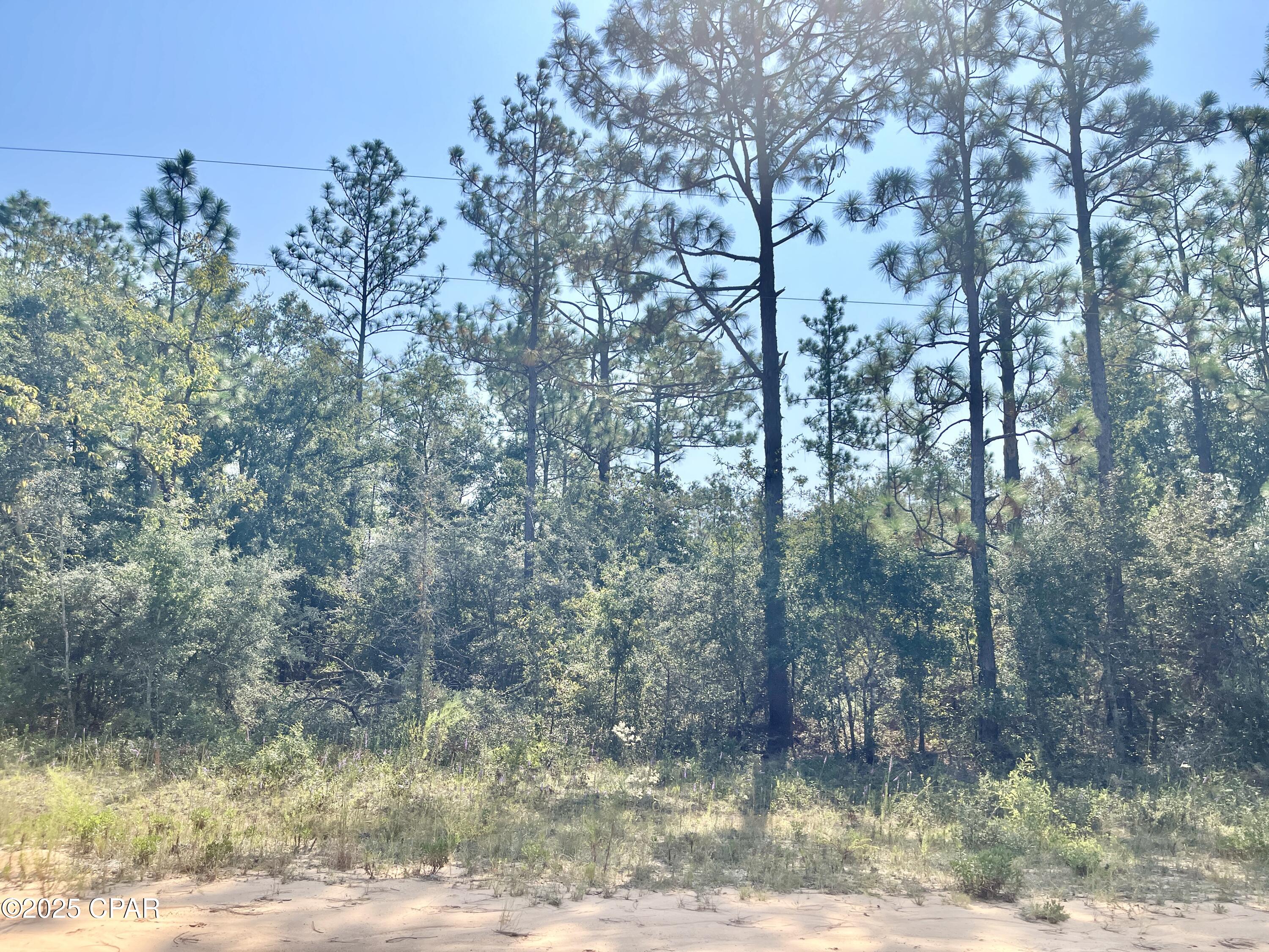 Compass Lake Hills Unit 4 - Land