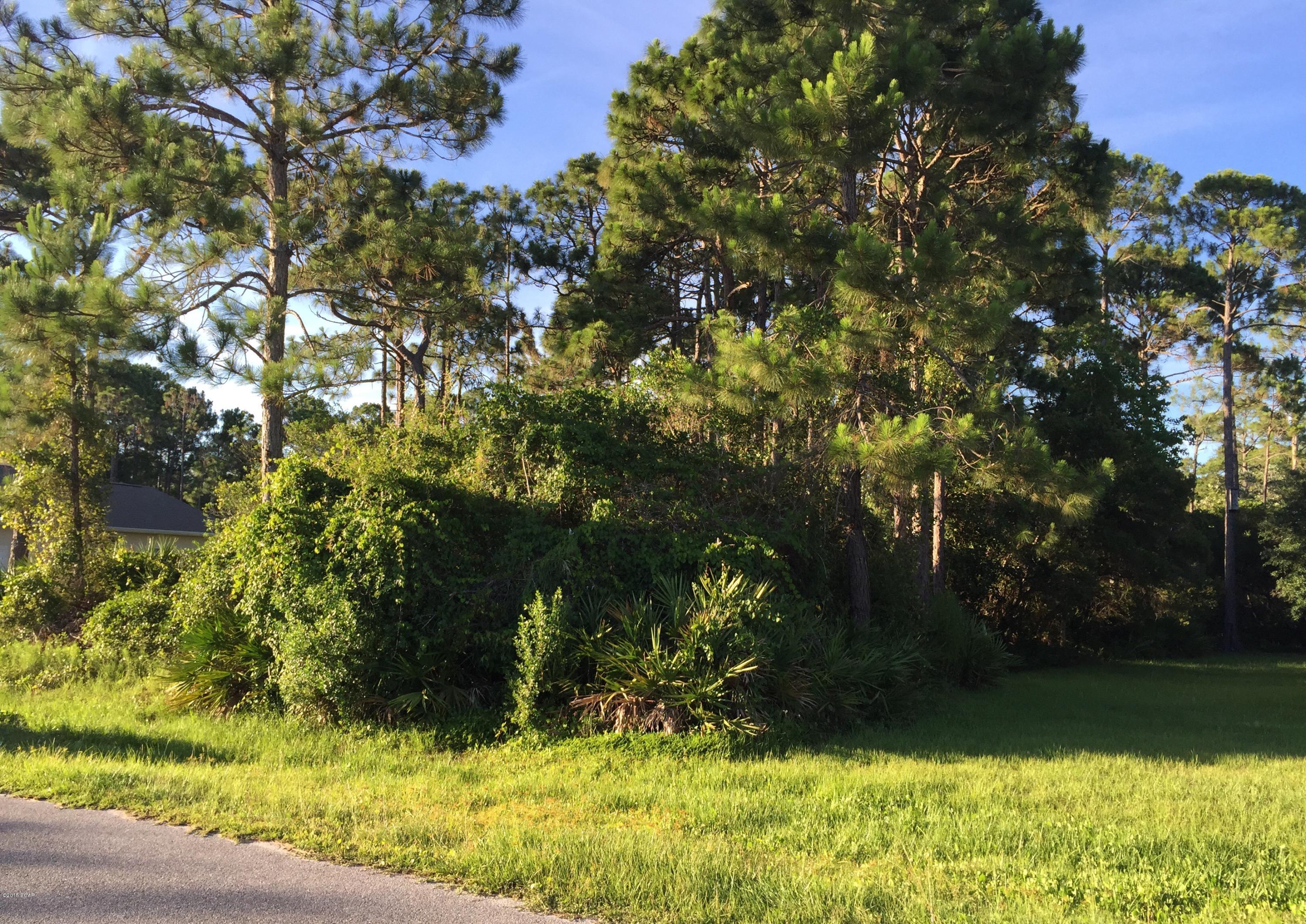 Great lot surrounded by nice homes in flood zone X! Come build the home of your dreams just a short walk from the beach in a very desirable neighborhood. The charming quiet getaway of St Joe Beach offers all the natural beauty of the forgotten coast with its sandy white beaches, desirable parks and accessible fishing and boating spots. Whether you're looking for a second home or a place to be rooted there is much to be gained with the opportunity that this lot offers for the future homeowner.