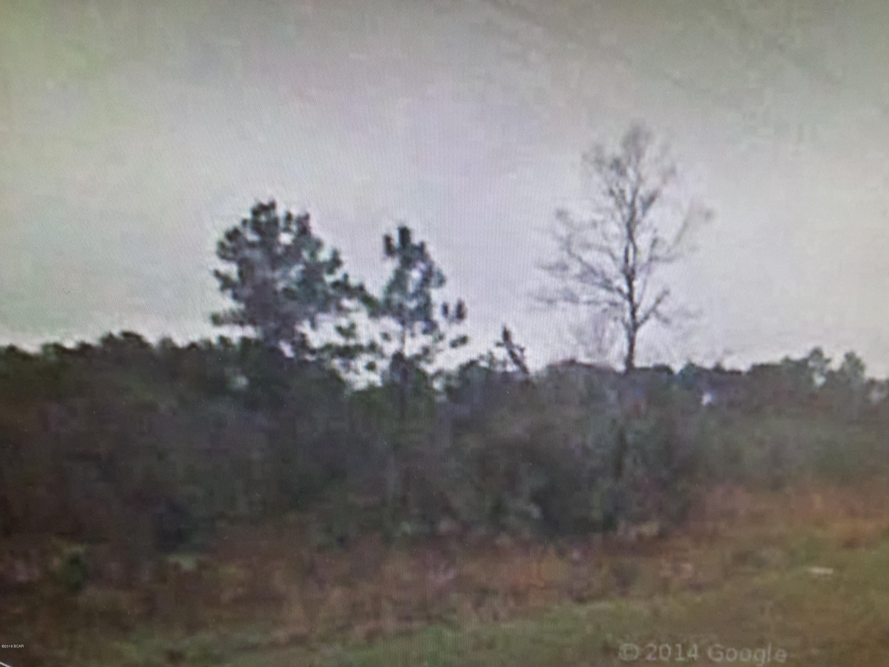 REDUCED!!! BUILDABLE NICE LEVEL 1.03 ACRE LOT, PAVED ROAD FRONTAGE! ALL Amenities included for ALL Property Owners includes: Access to 2 Lakes, 2 Clubhouses, In-Ground Swimming Pool, Golf Driving Range, Tennis Courts, Horseback Riding, Boat & Cabin Rental, plus more. POA dues of $135 Annually paid with Property Tax. Less than an hour drive to Florida's Beautiful Beaches, Panama City. Property located on Nortek Blvd on paved road. Drive By to​​‌​​​​‌​‌​​​​‌​​‌​​​​‌‌ View.