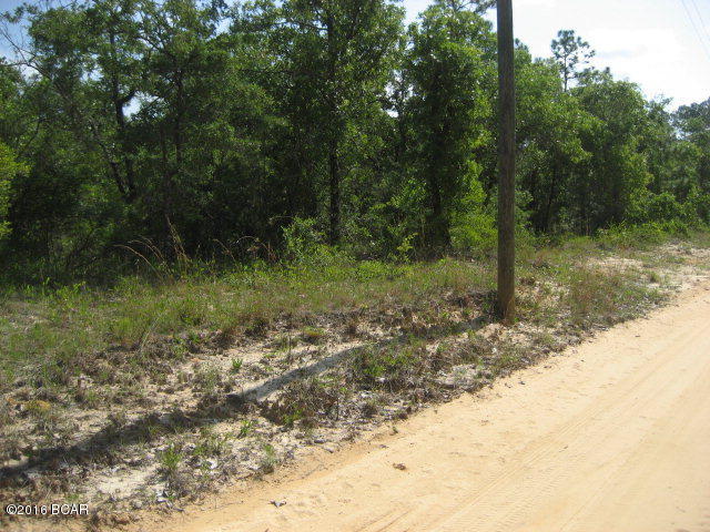 $69,000. This parcel is approximately 41 acres and is situated in a quiet, rural area, which is ideal for hunting or a homesite off the beaten path. Owner is motivated and will entertain all reasonable offers. Cypress Creek runs through part of this property. There is no recorded easement to the parcel, but the owner is working to obtain an easement prior to or upon closing (no problem anticipated). Located about 40 miles from Panama City and the Gulf of Mexico, the subject is convenient to recreation and beach activity. Phone and electricity are not in place but are available. For water, a well would have to be drilled. Most of the 41 acres is wooded. At only $1,683/acre, this is a must-see parcel.