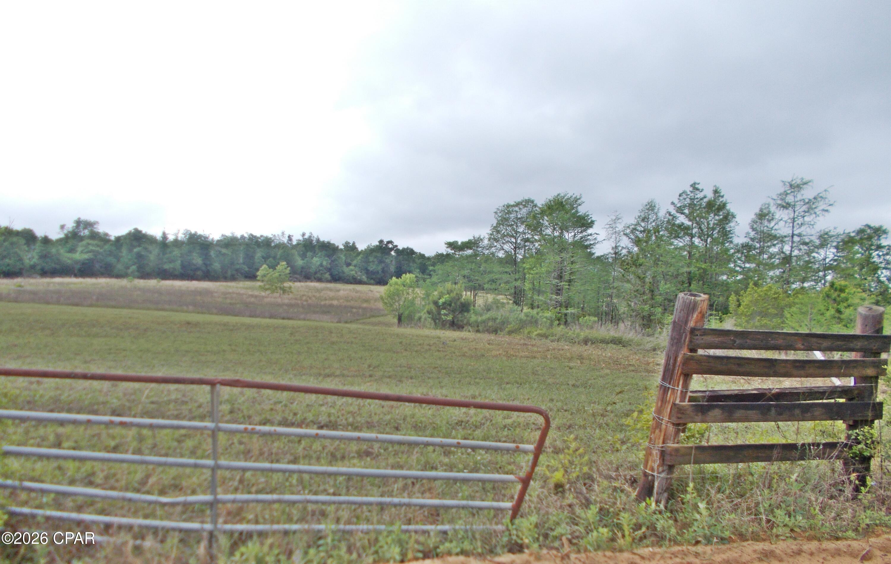 Very nice 9 ac mini farm with a nice slope for back, ideal place to build a home or bring a mobile home, plenty room for animals and a small wet weather pond on the front. This is being cut out of a larger parcel the buyer will need to have a survey, this parcel is just minutes from Interstate 10 and convenient to Tallahassee. Just quiet country living.