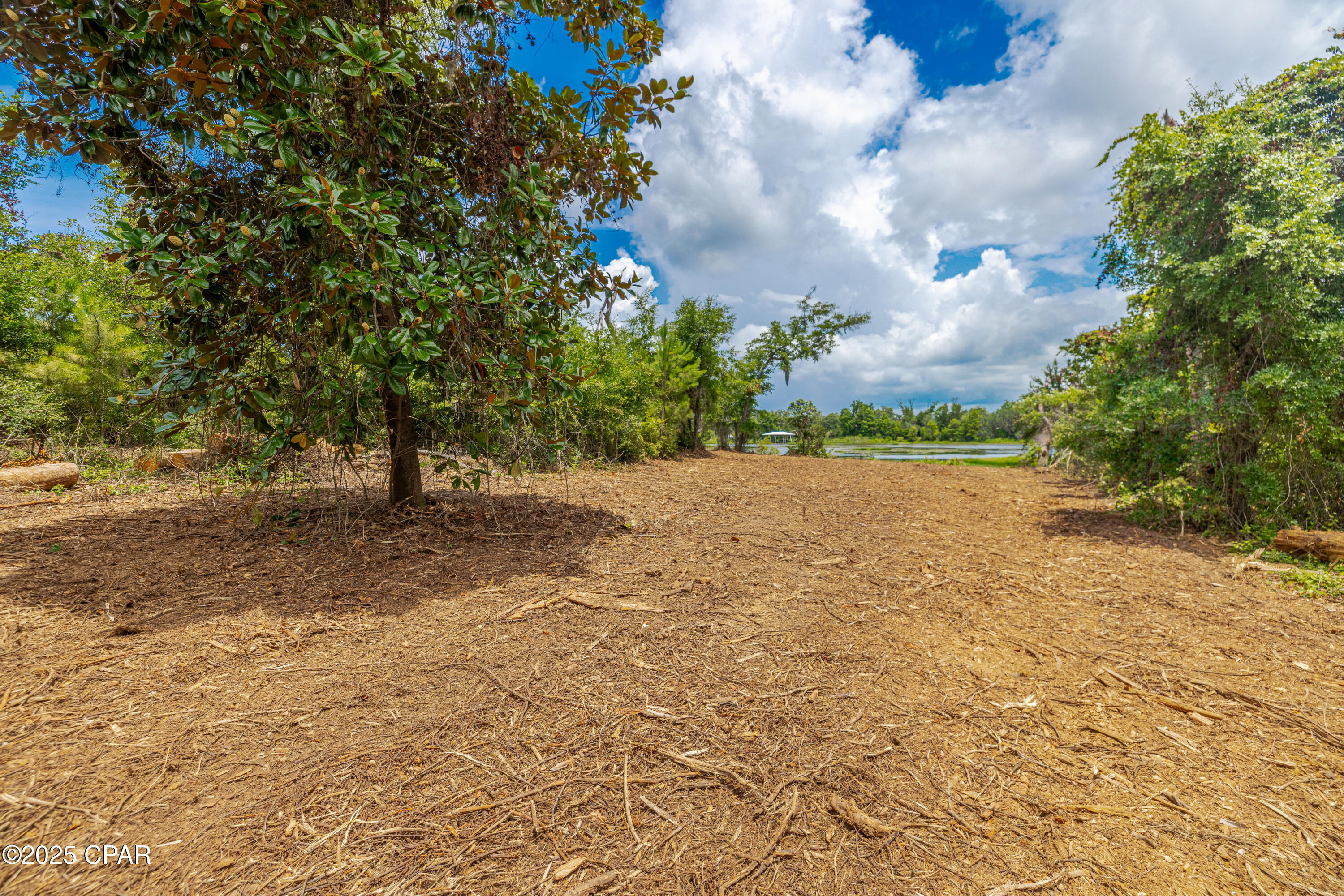 Osprey Point - Land