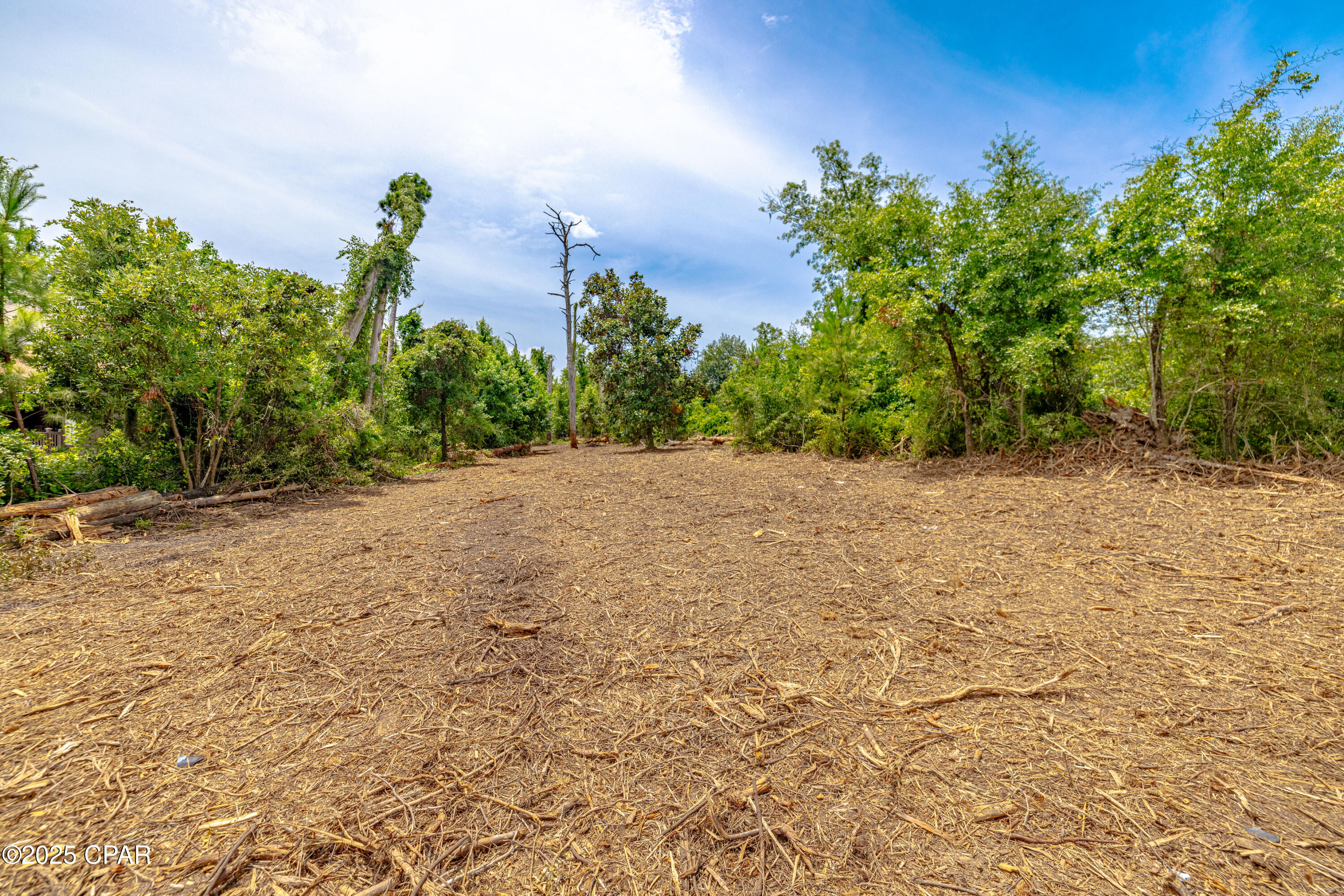 Osprey Point - Land