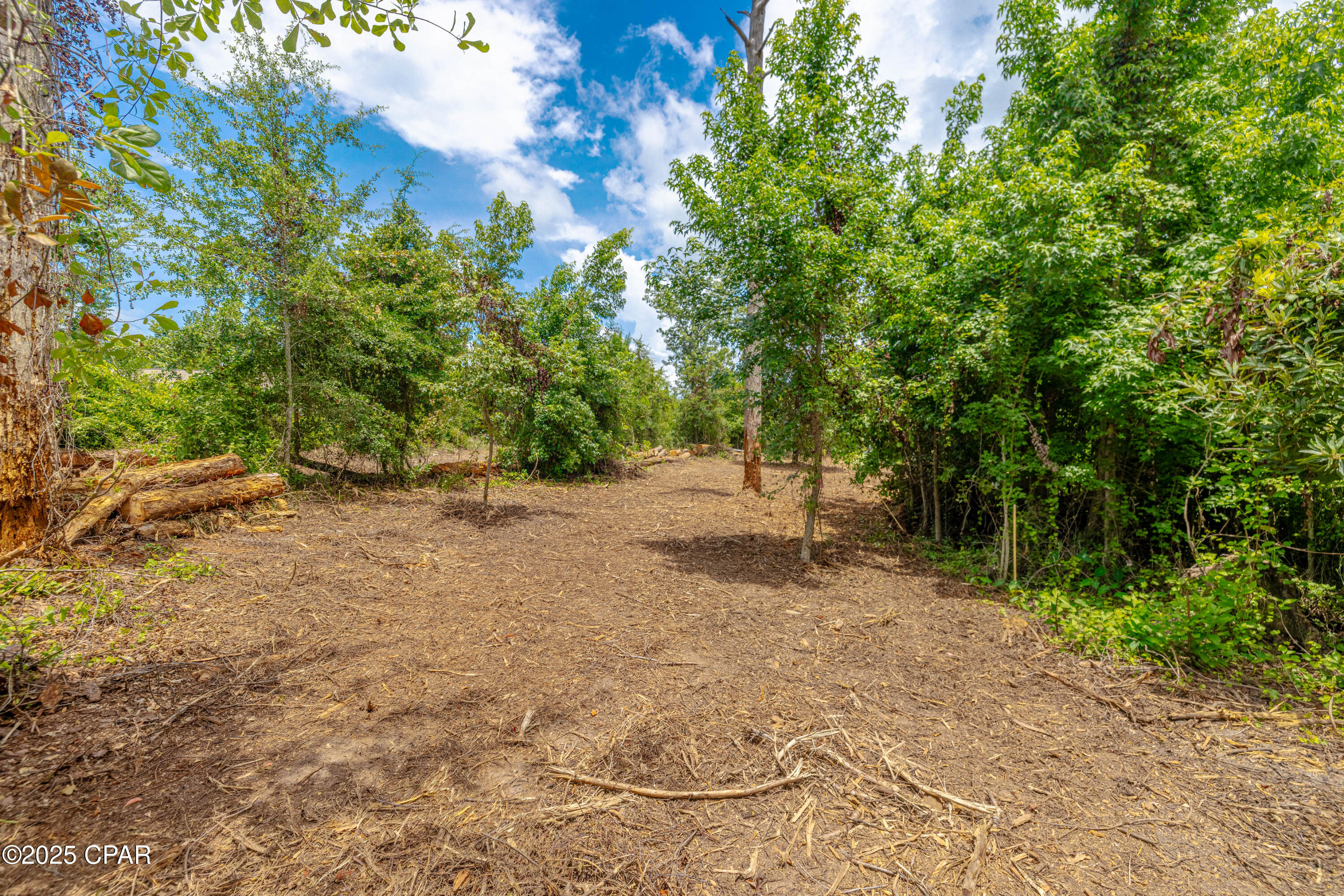 Osprey Point - Land