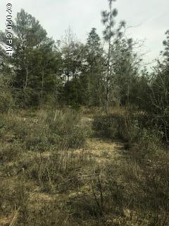 Deer Run Ranchettes - Land