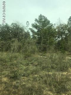 Great place to build your new dream home.  Very close to Government Business.  Less than 45 Minutes to our beautiful Panama City Breaches