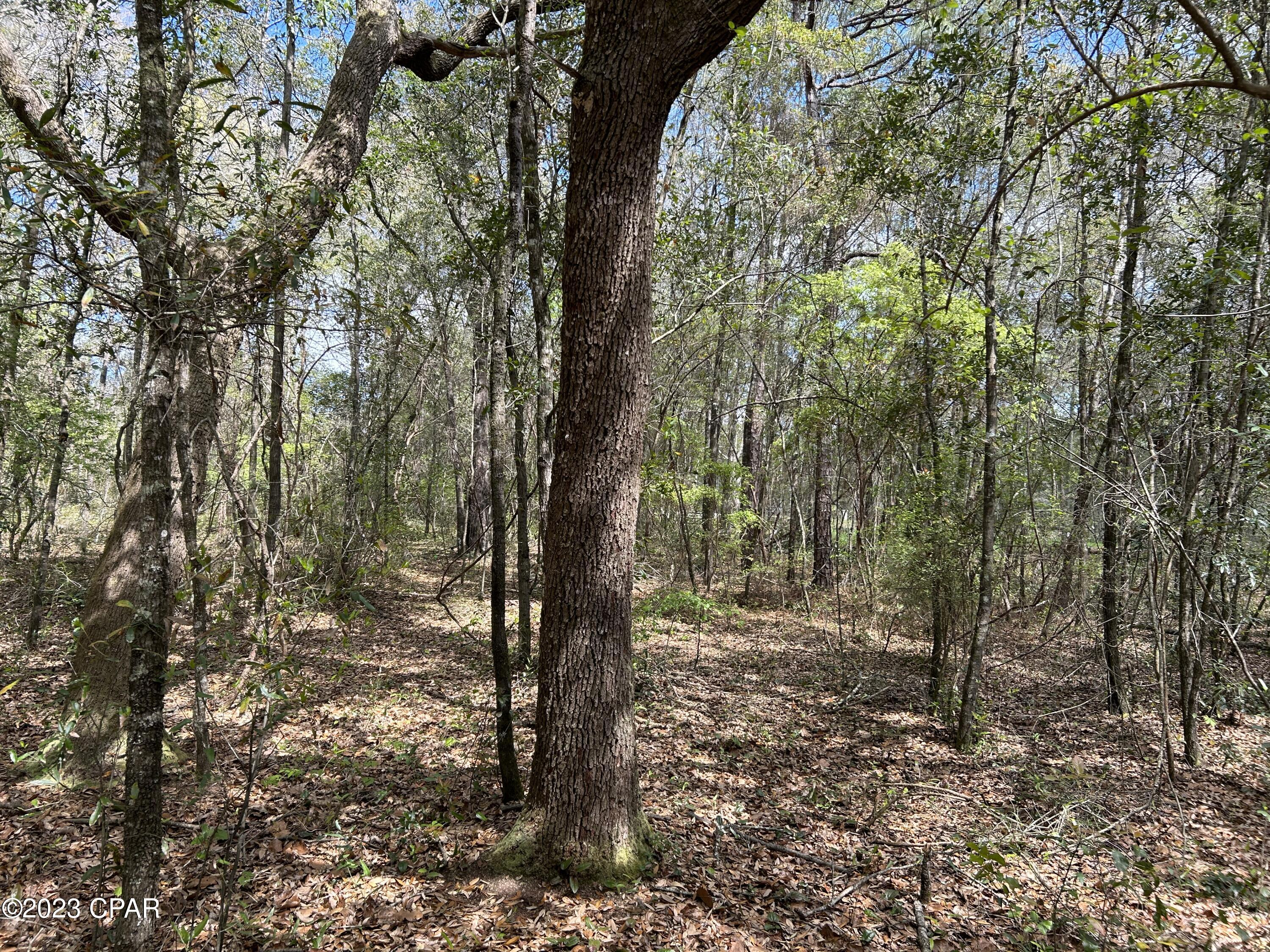 Other - Land