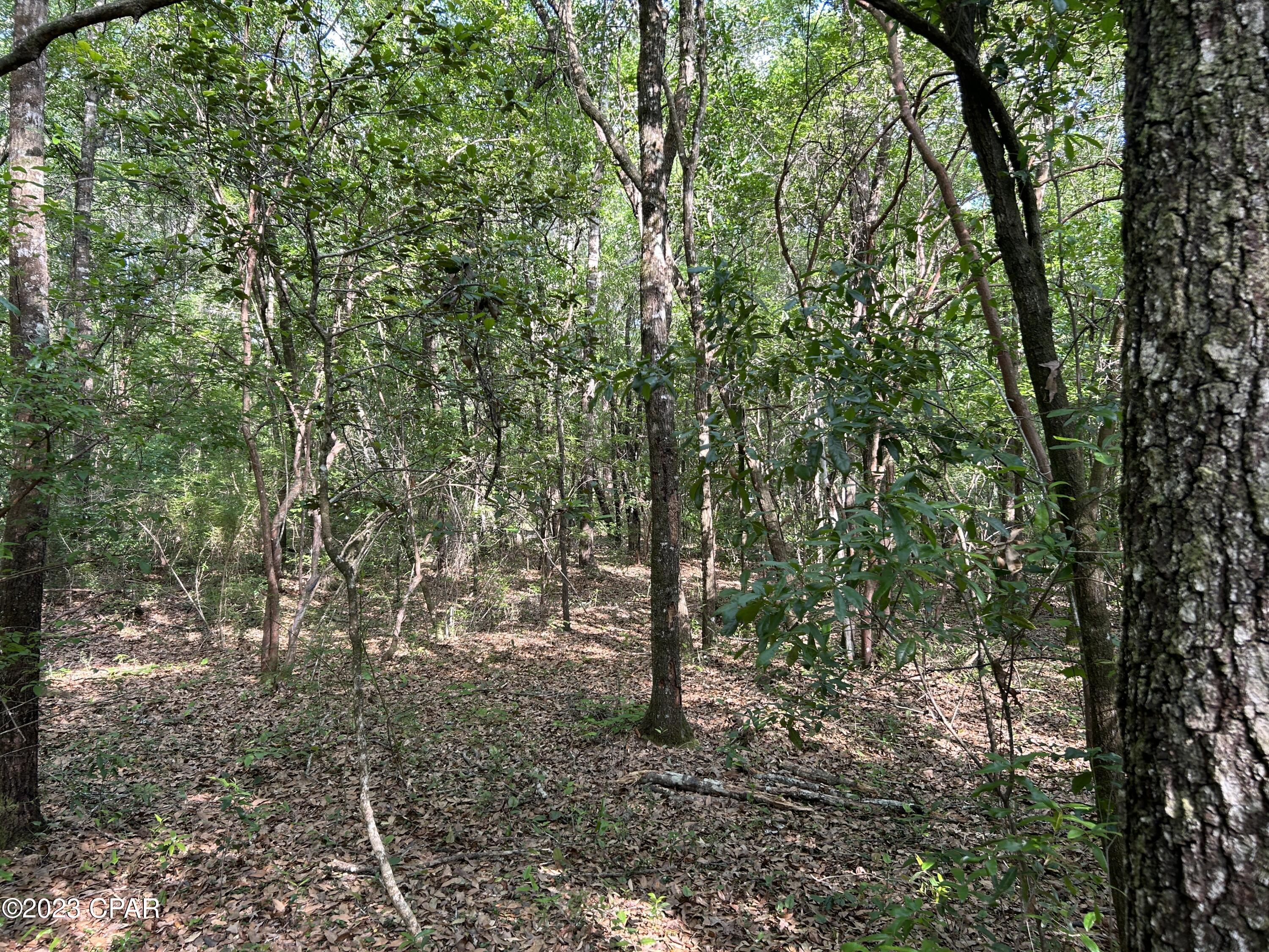 Other - Land
