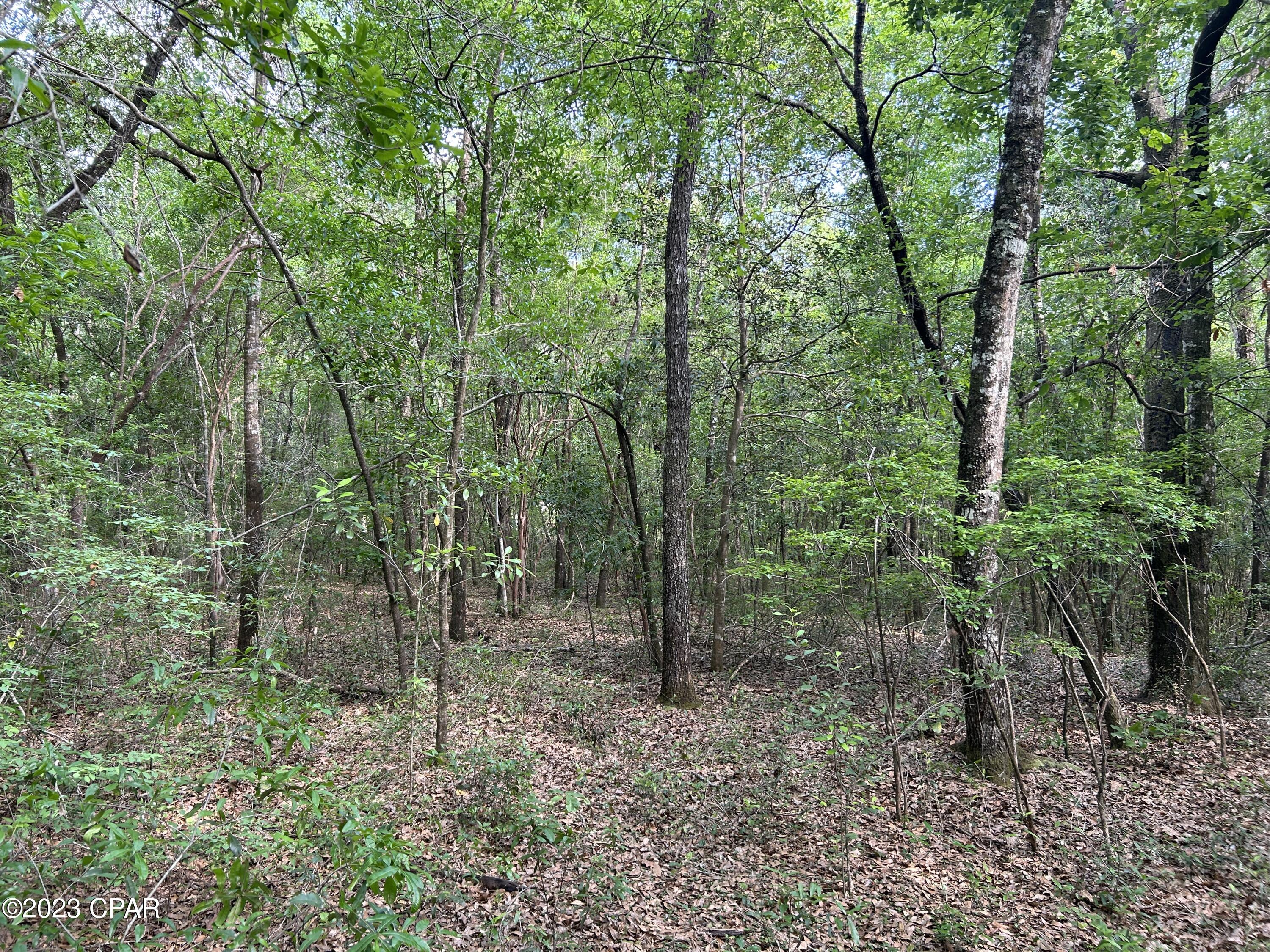 Other - Land