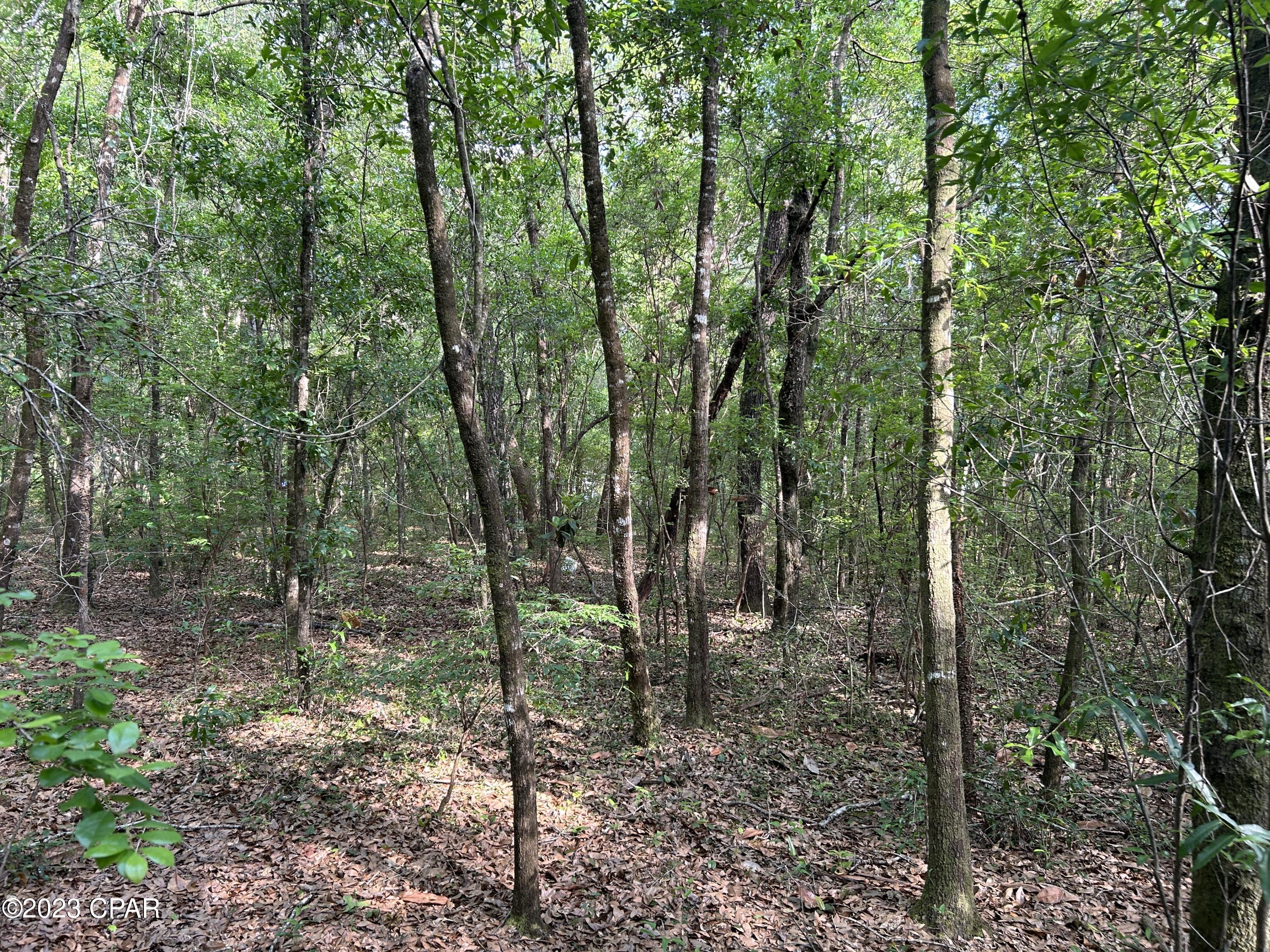 Other - Land