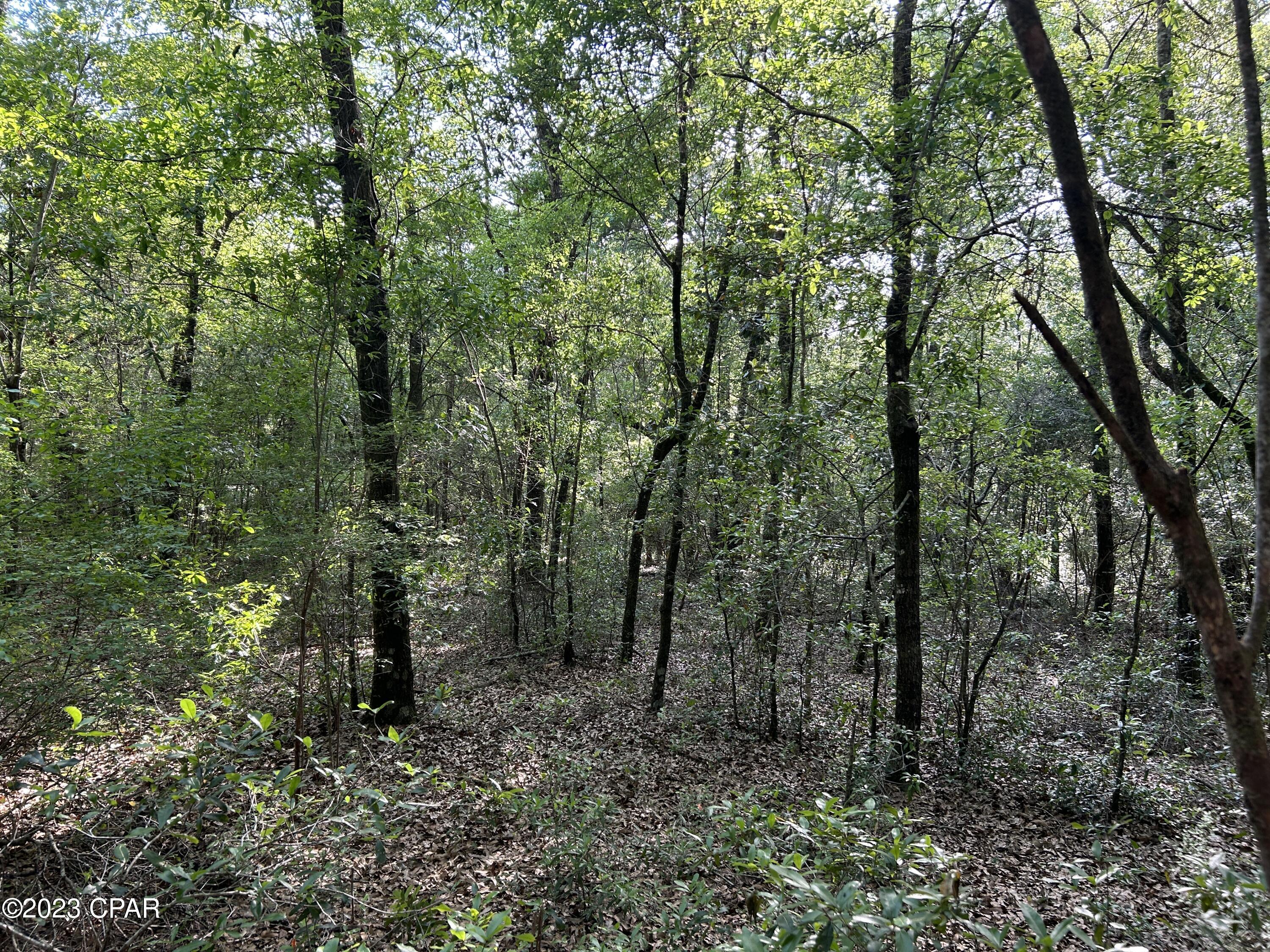 Other - Land