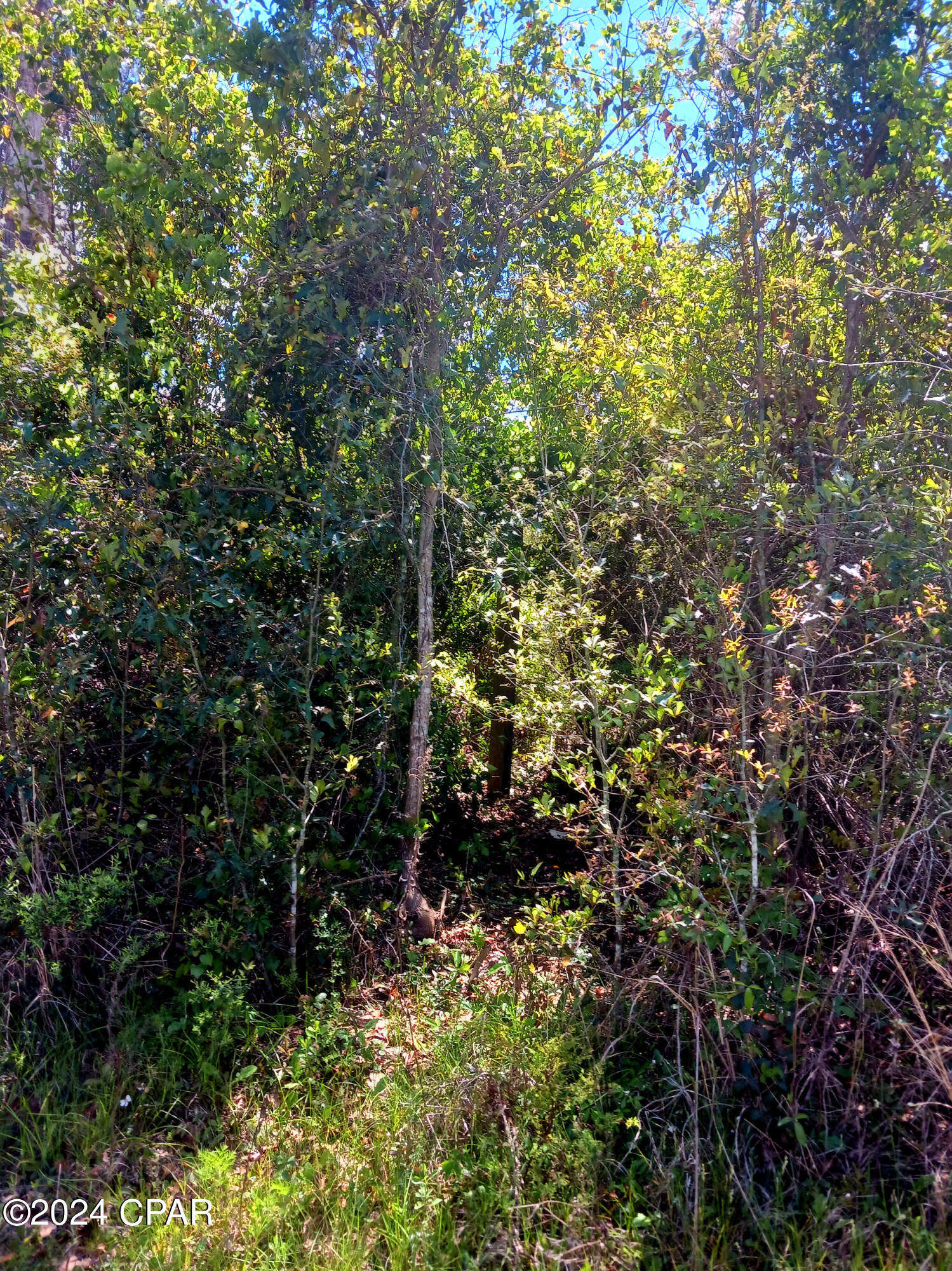 [No Recorded Subdiv] - Land