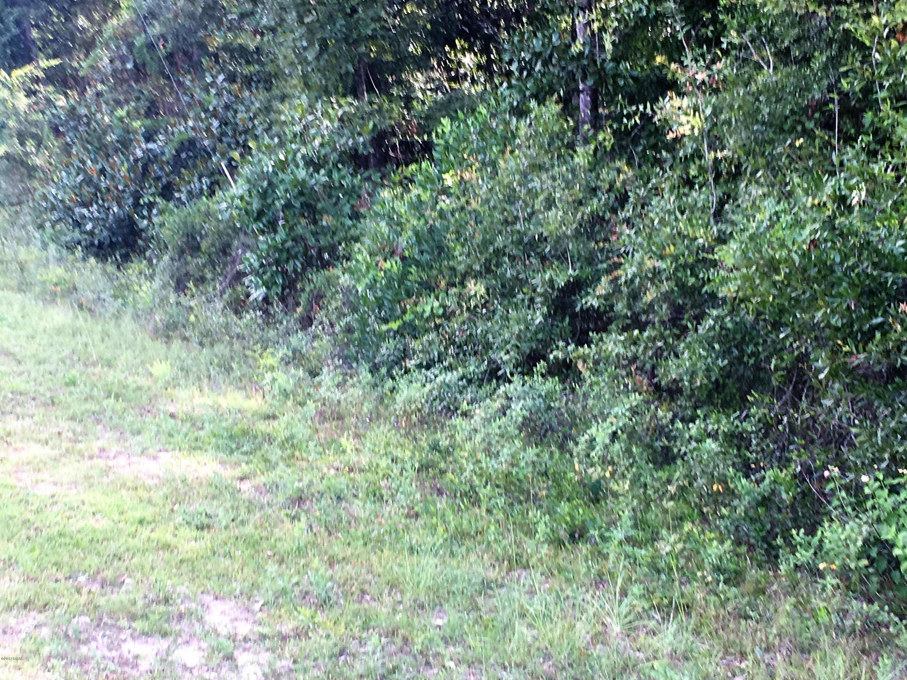 BEAUTIFUL 10 ACRE LAND JUST READY FOR YOU TO BUILD YOUR CABIN IN THE WOODS.IT HAS ROAD ACCESS AND THERE ONCE WAS A MOBILE HOME ON THE LOT BUT IS OF NO VALUE. there IS ALSO A SEPTIC TANK AND WELL BUT SELLER DOES NOT KNOW IF IT WORKS.