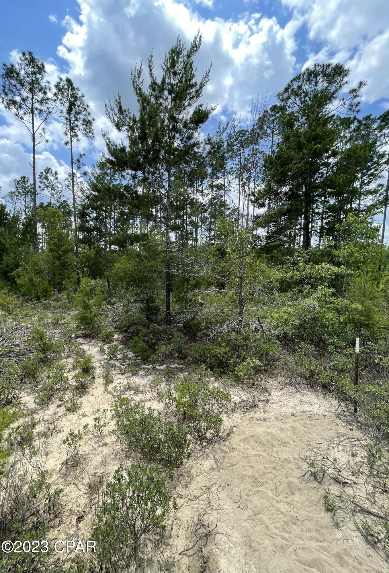 No Named Subdivision - Land