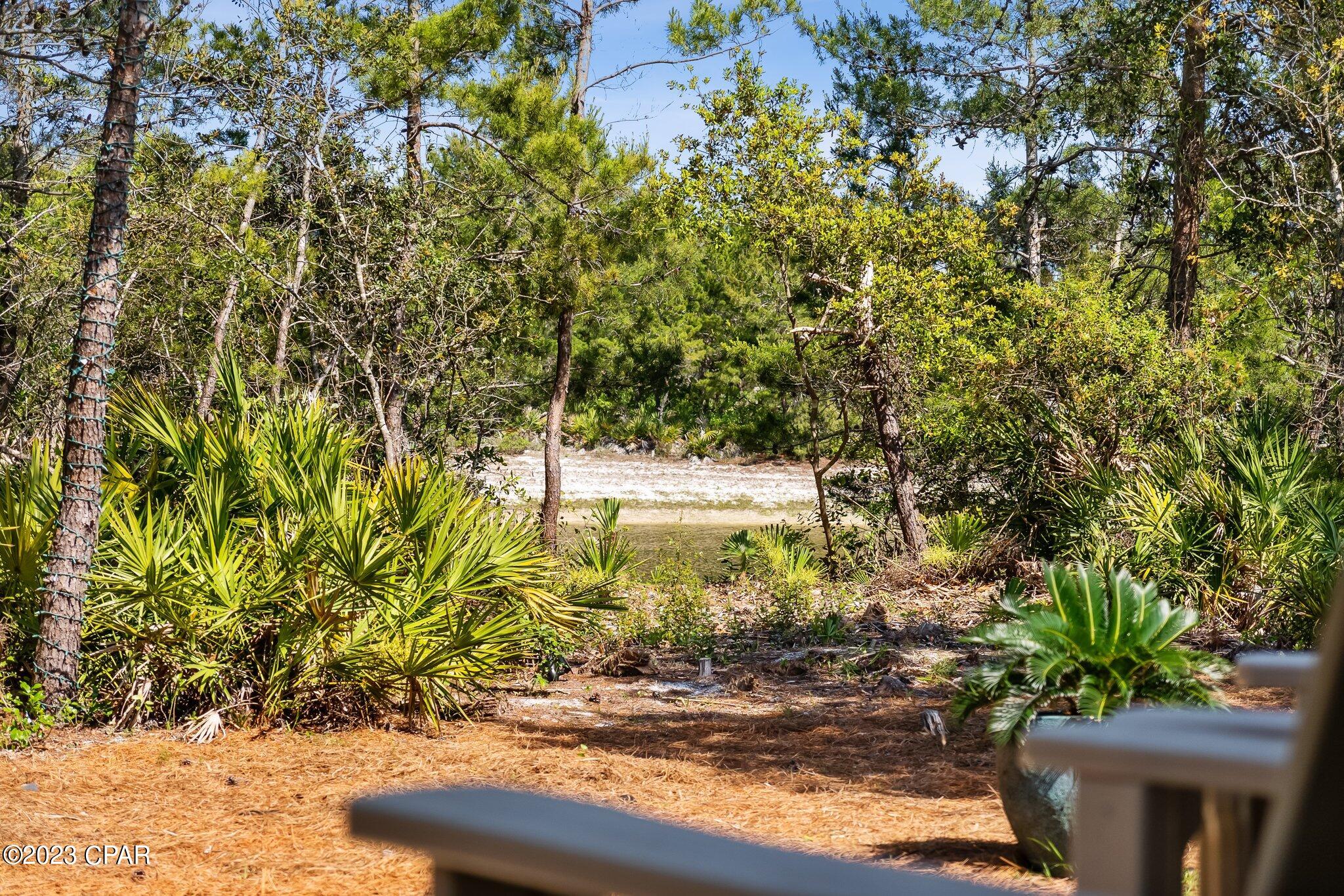 Palmetto Trace - Residential