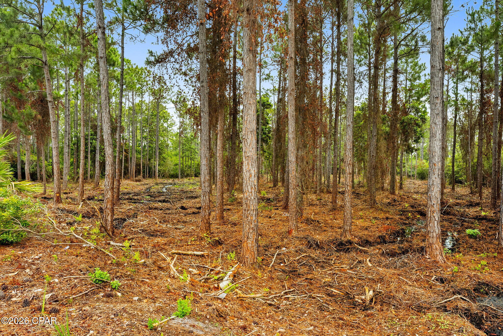 No Named Subdivision - Land
