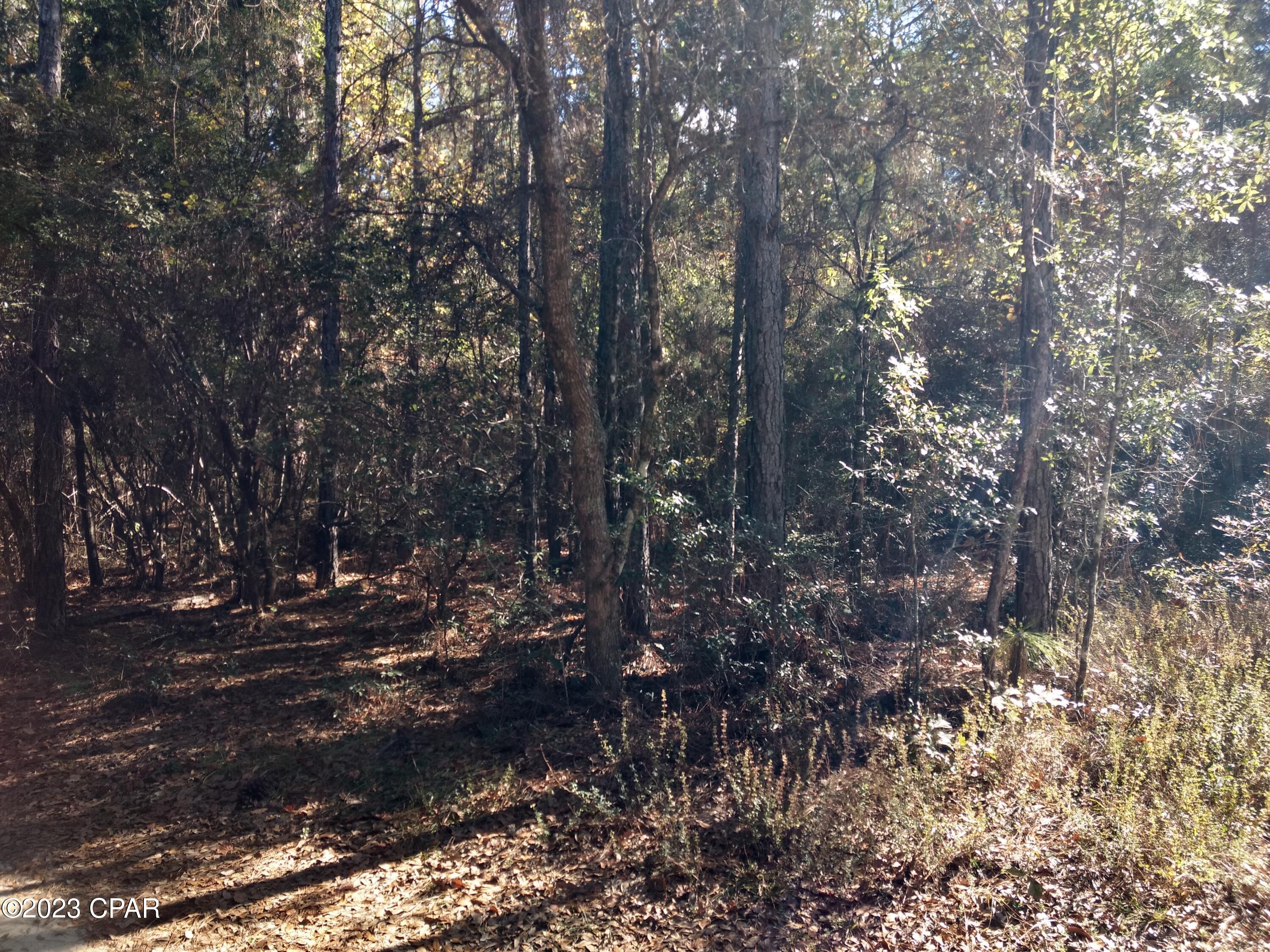Dogwood Lake Estates - Land