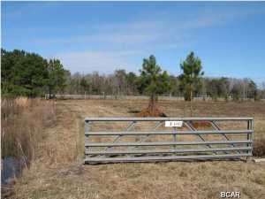 3 acres of beautiful land to build a home, have horses or hunt. Property backs up to I 10 and is close to the I 10 exit ramp. Approximately a hour or so to Panama City Beach and Tallahassee...***THE PARCEL IS DIVIDED INTO TWO PARTS AND IS SEPARATED. THIS LISTING IS FOR THE 3 ACRES ON THE LEFT**** Parcel has a private easement.