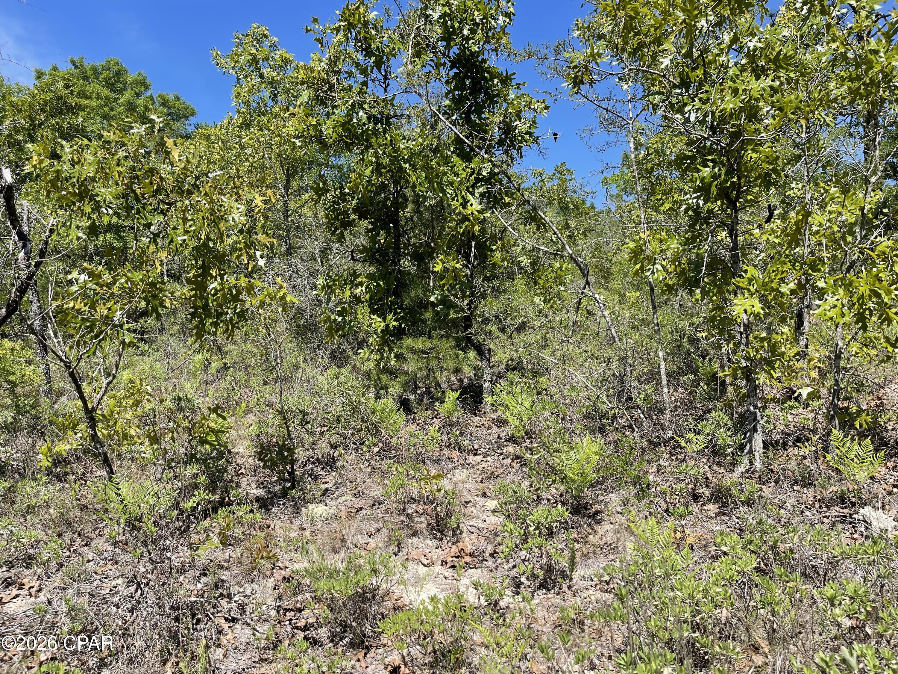 [No Recorded Subdiv] - Land