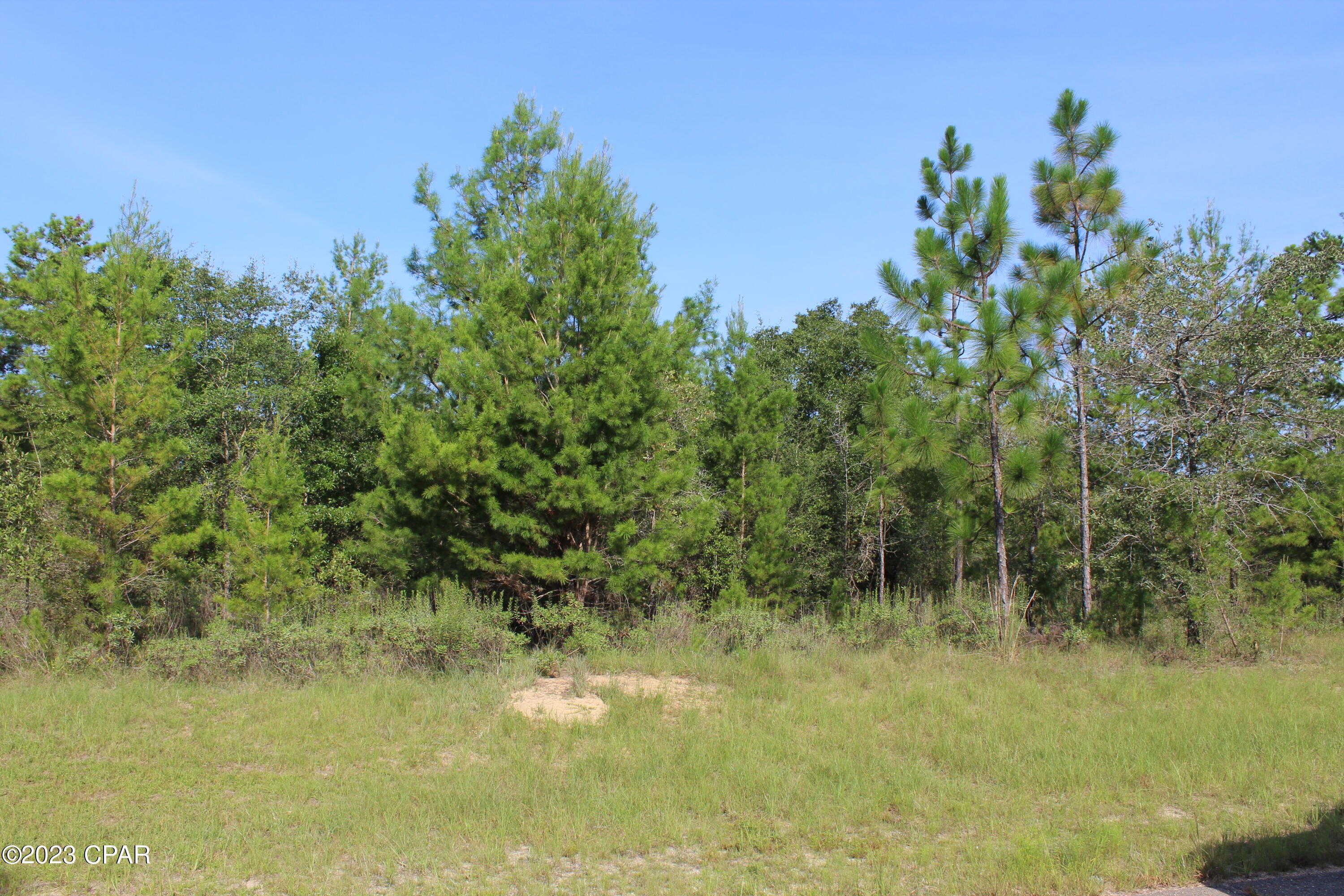 Pretty lot, that's high and dry, and only a hop n skip to all the amenities that Sunny Hills has to offer which include the Golf Course, 26 lakes for your water activities, good biking area, community parks, playground, beach and lots of pretty views.  AND have to mention it is an easy drive (45+/- min) to our World's Most Beautiful Beaches and town for your shopping needs.  Go take a look, we won't mind!