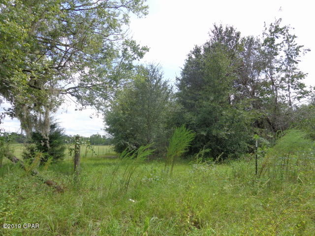 76.37 Acres with road frontage on 3 paved roads in Greenwood City Limits.  City water access on Hwy 71 plus 2 wells and 1 septic tank which seller will not warrant.  Fire Hydrant located on Hwy 71. Property has been surveyed. At one time seller had a portion of the property on Willis Road surveyed into 5 acre parcels and  5 to 7 acre parcels on Basswood Rd if someone was interested in purchasing to subdivide. The property located on Hwy 71 (291.98x 200) is subject to deed  restrictions: LOTS 6,15 GREENWOOD HEIGHTS BK 14.  Copy of Deed Restrictions in docs. The majority of the property is wooded and fenced.