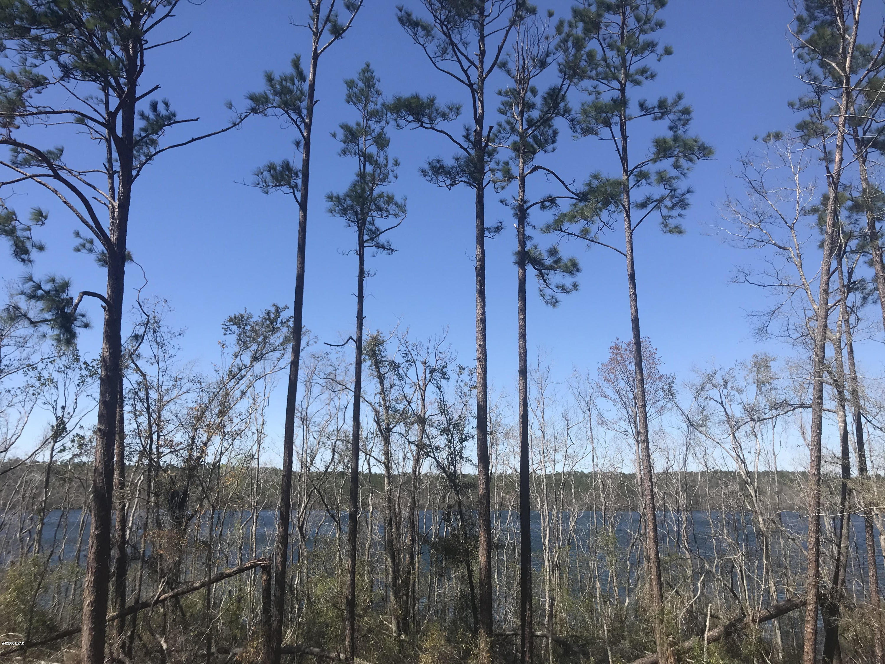 WATERVIEW!! Come and check out the amenities of this pristine location!! If you opt to join ($135 per year) this is what you can get for a reduced rate:

Driving Range, Rentals on fishing boats, pontoon boat, canoes, fun yaks and boat docking.  Cabin Rentals, Lake House Rental, Pavilion Rental, RV Lot Rentals and access to the beautiful private McCormick Lake! Compass Lake itself is  581 acres sitting in Compass Lake in the Hills which is a 10,000 acre property sitting between Panama City FL and  Dothan Alabama. It has a great lodge with a restaurant, Tiki Bar and a pool. Great place to get away from the hustle and bustle of every day life!