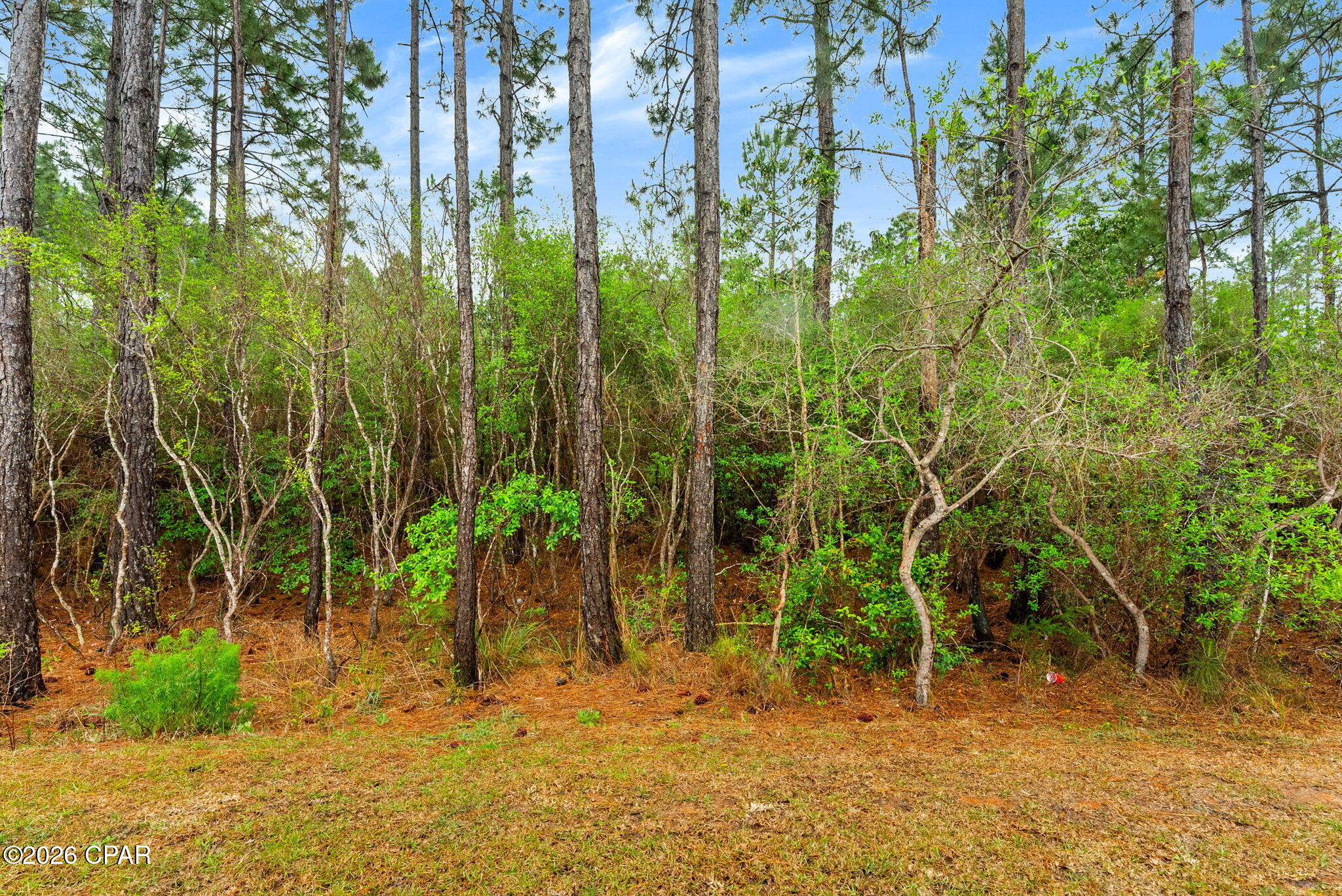 Bayside at Ward Creek - Residential Lease