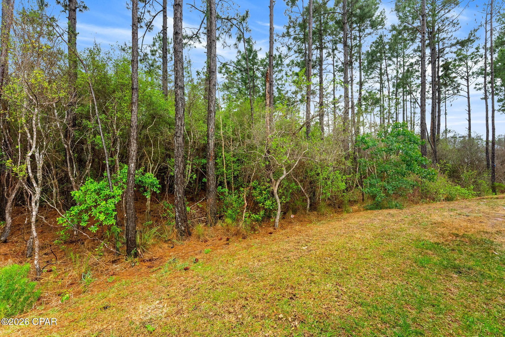 Bayside at Ward Creek - Residential Lease