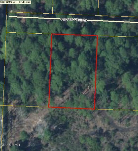 Peachtree Farms - Land