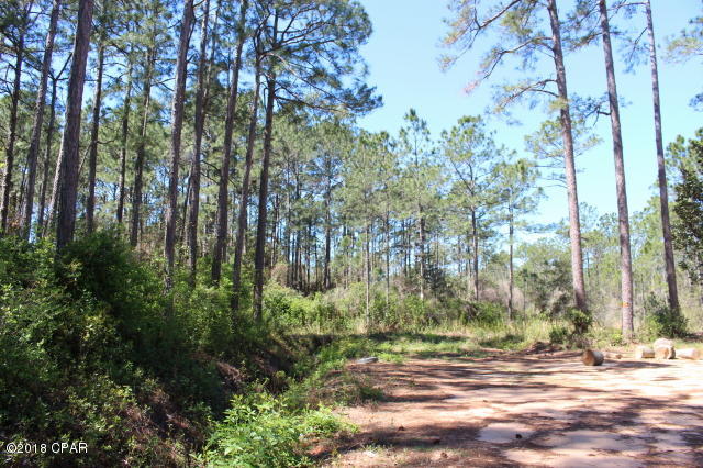 Peachtree Farms - Land