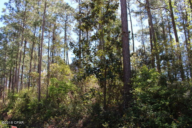 Wooded lot located on a dead end road. Minutes drive South to Hwy 98 & to the beaches. And minutes drive to Mill Bayou & Hogtown Bayou & Choctawhatchee Bay for fishing & boating. Lot appears to be in Flood Zone X.