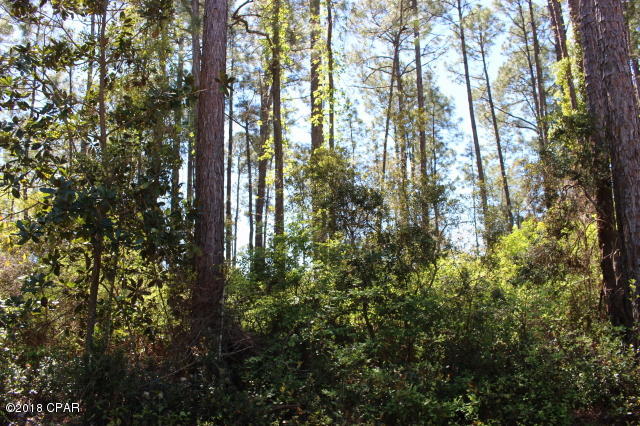 Peachtree Farms - Land