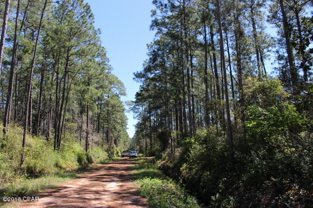 Peachtree Farms - Land