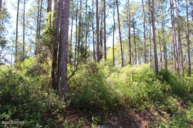 Peachtree Farms - Land