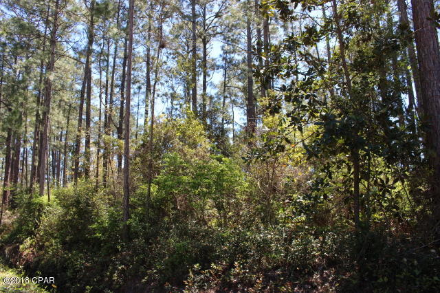 Peachtree Farms - Land