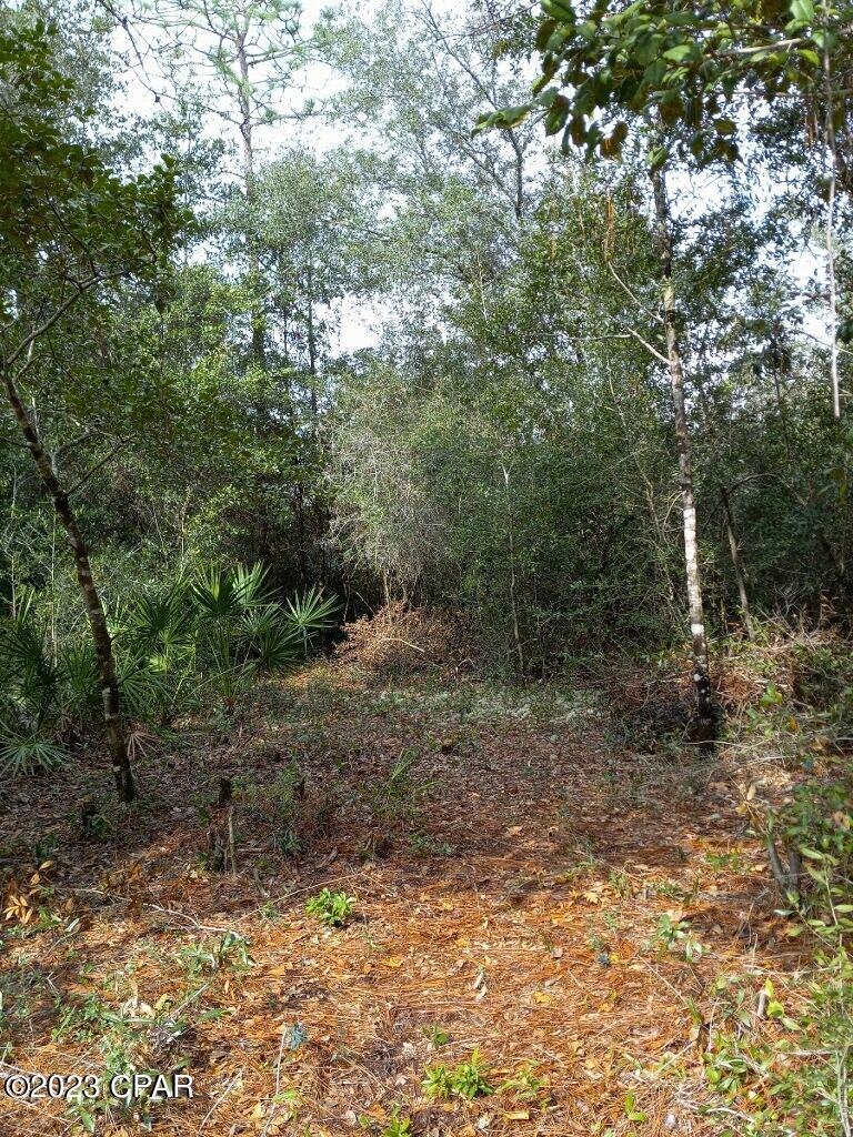 2 Partially cleared lots in the Greenwood subdivison.  Come build your dream home or bring your mobile home.