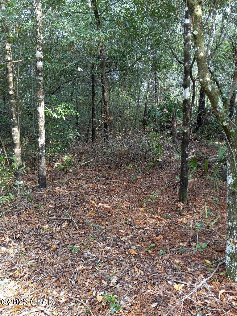 Green Hills - Land