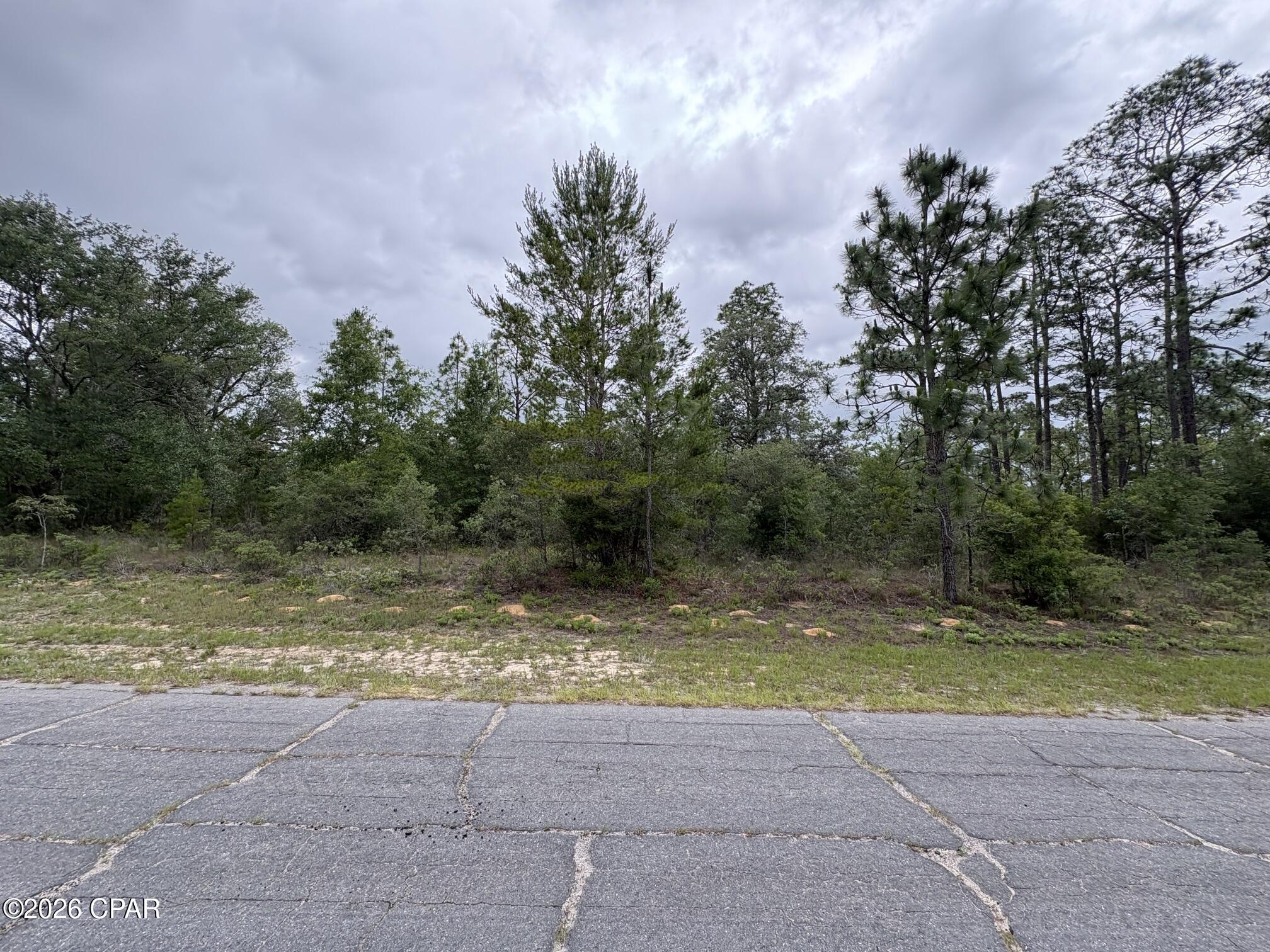 Build your dream home in one of the most desirable and fastest-growing areas of Sunny Hills! This beautiful .229-acre residential lot, located at Lot 22 Yorkshire Drive, offers the perfect combination of natural beauty, privacy, and convenience.

The property features flat elevations and light tree coverage, making site preparation and construction easier and more cost-effective. According to US Water, public water service is available at the property (buyer should verify availability and connection requirements), adding to the lot's outstanding build potential.

One of this homesite's most attractive features is its exceptional location. The lot sits directly across the street from Blue Homestead Lake, a beautiful 95-acre Deltona-owned greenspace, providing a beautiful lake with peaceful wooded views and an open, natural setting that enhances both privacy and the overall feel of the neighborhood. Having protected greenspace nearby is a rare advantage that helps preserve the area's scenic character.

Sunny Hills is known for its 18-hole public golf course, numerous lakes and parks, rolling terrain, and convenient location between Chipley and Panama City. Whether you're looking to build your forever home, a seasonal retreat, or simply invest in one of Northwest Florida's growing communities, this property offers exceptional value.

Affordable, buildable lots in locations like this are becoming increasingly difficult to find. Don't miss your opportunity to own a beautiful homesite across from greenspace in one of Sunny Hills' most desirable growth areas!