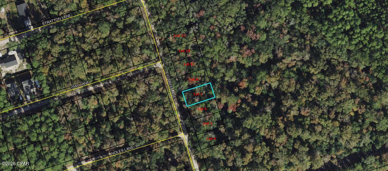 Vacant lot available on Fig Tree Ln in Crawfordville. Great opportunity for builders or investors in a growing area. Convenient and peaceful location just a short drive to the coast. Note: This listing is for one lot. A total of eight adjoining lots are available for purchase.

Buyer to verify all measurements, lot dimensions, and any information deemed important.